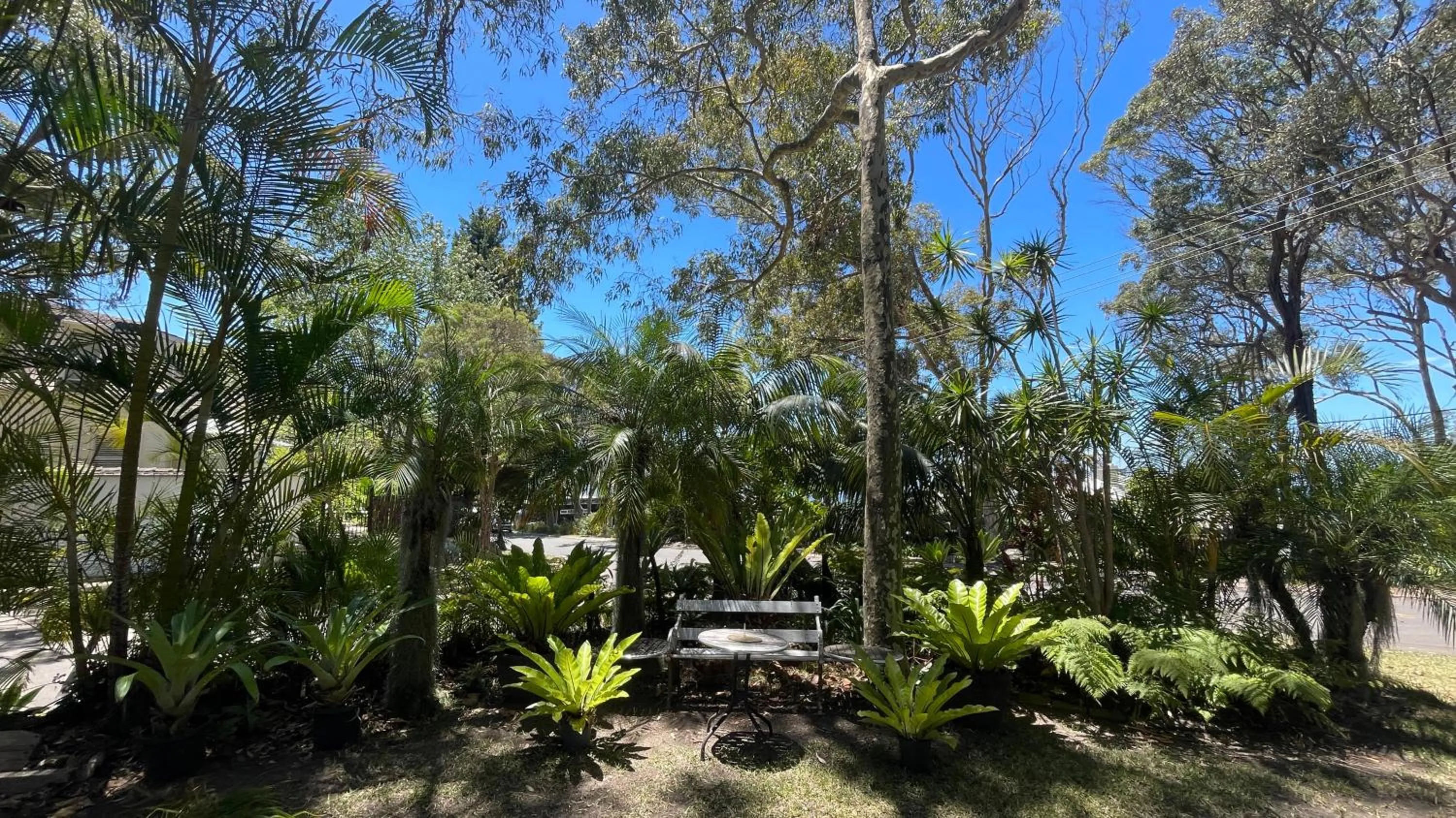Garden in Palm Beach Bed & Breakfast