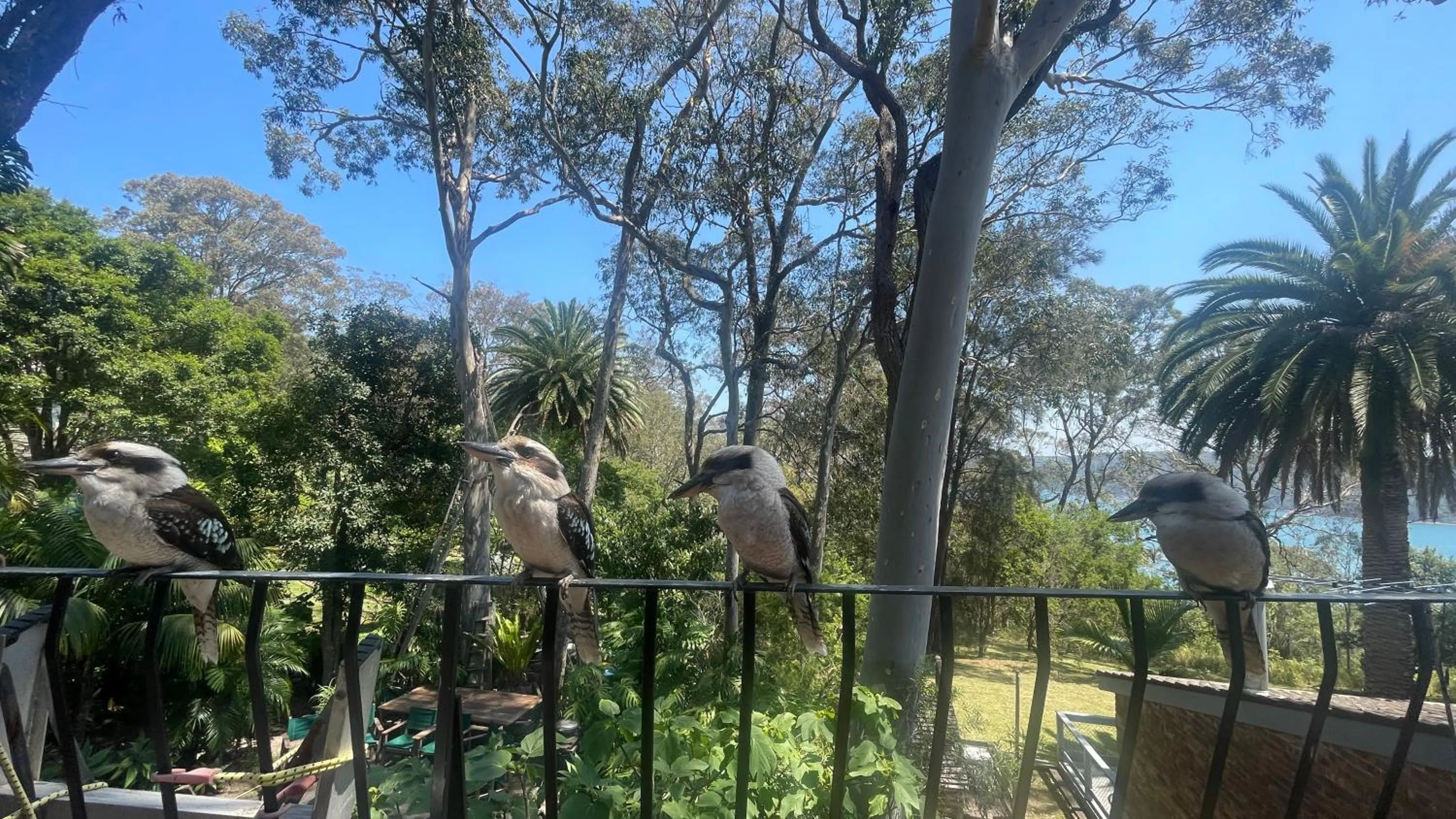 View (from property/room) in Palm Beach Bed & Breakfast