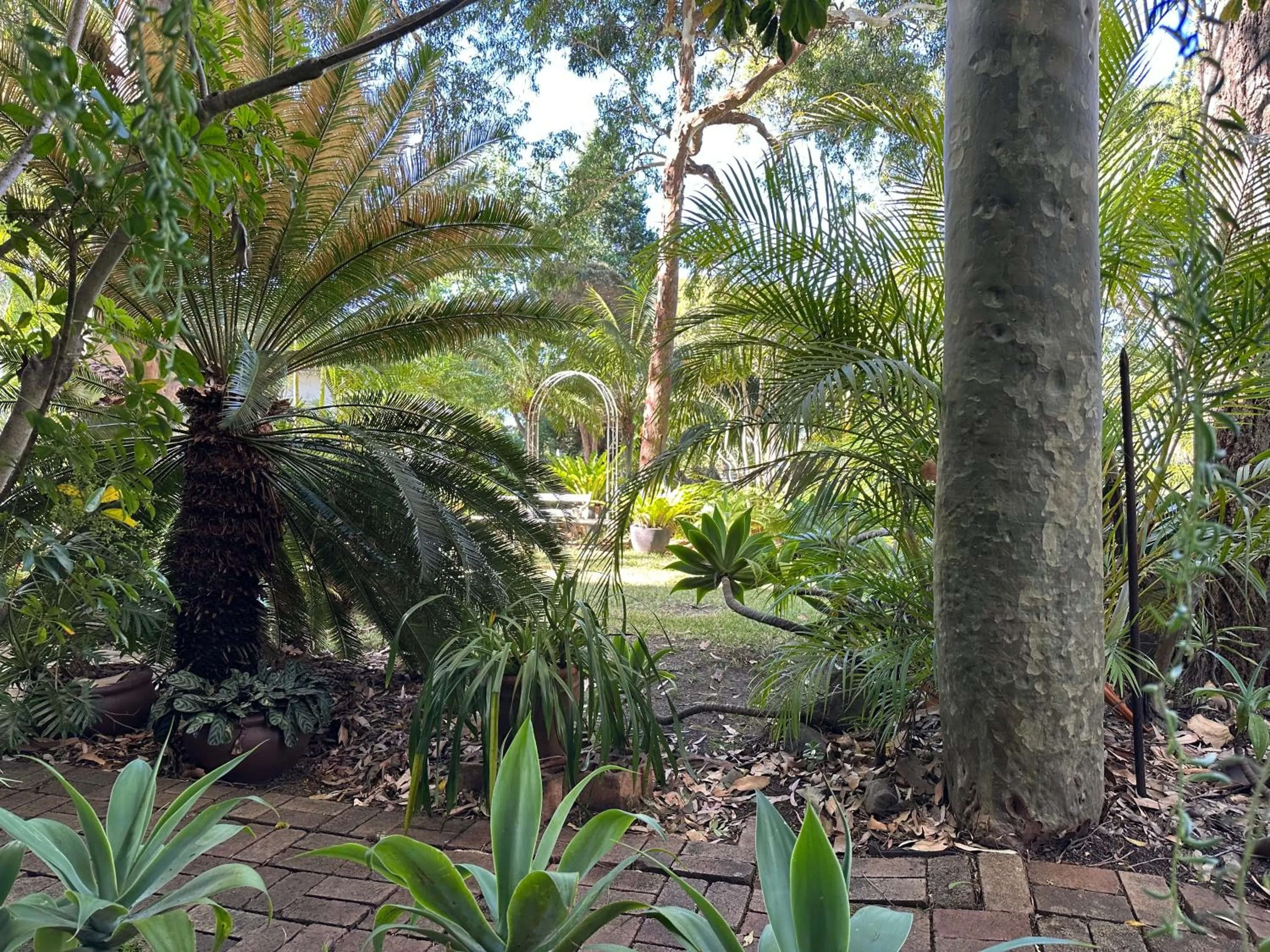 Garden view in Palm Beach Bed & Breakfast