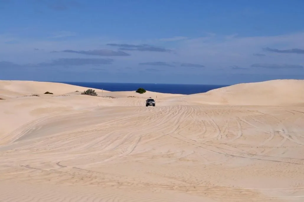 Natural landscape in Longbeach Apartments