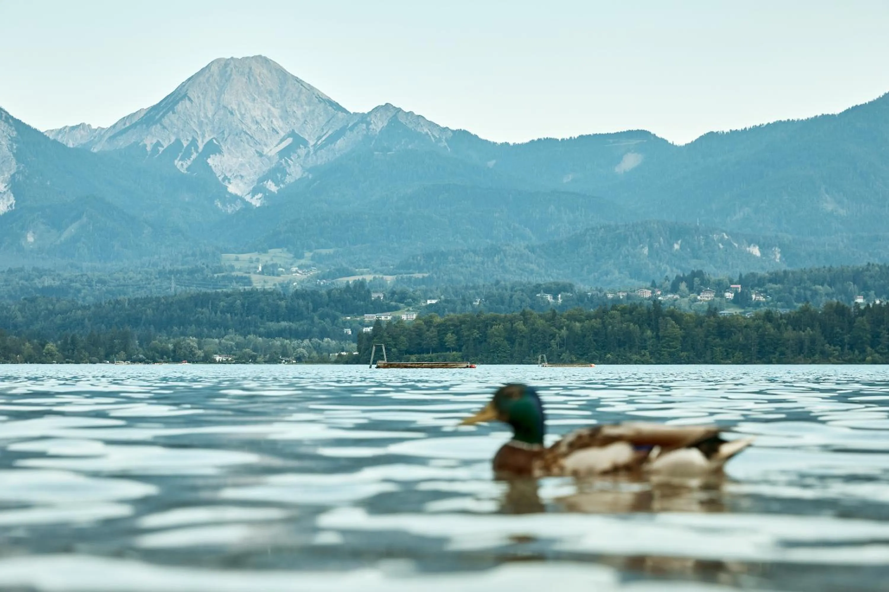 View (from property/room) in Hotel Karnerhof