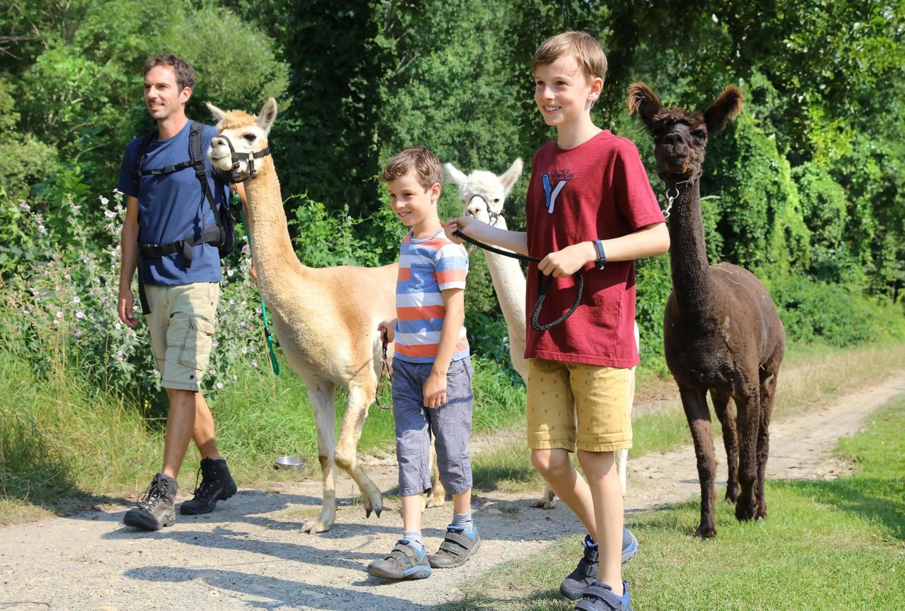 Activities in JUFA Hotel Pöllau - Bio Landerlebnis