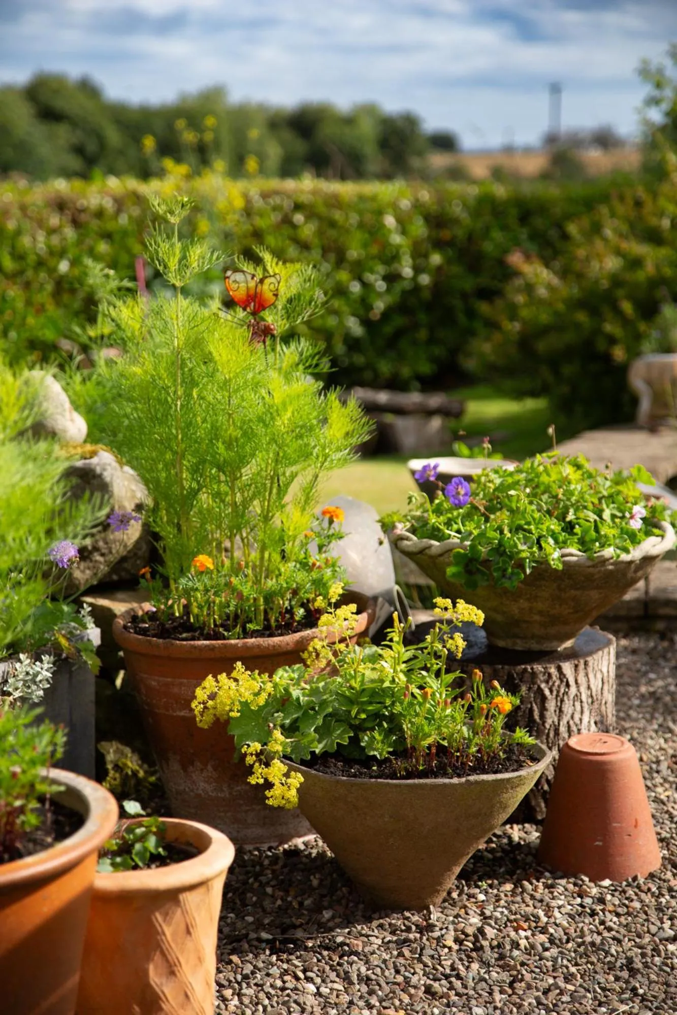 Balmungo Cottage B&B