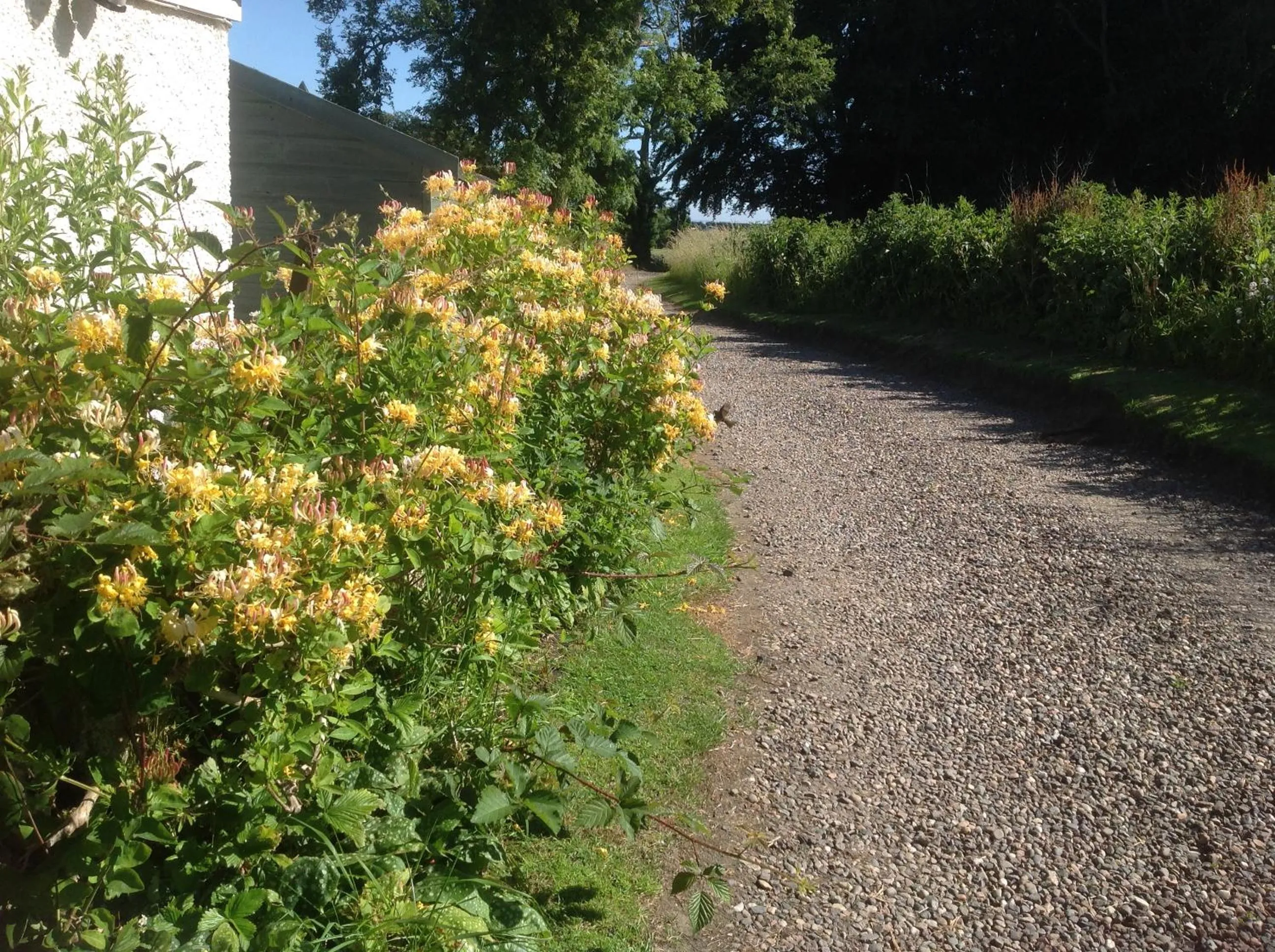 Natural landscape in Balmungo Cottage B&B