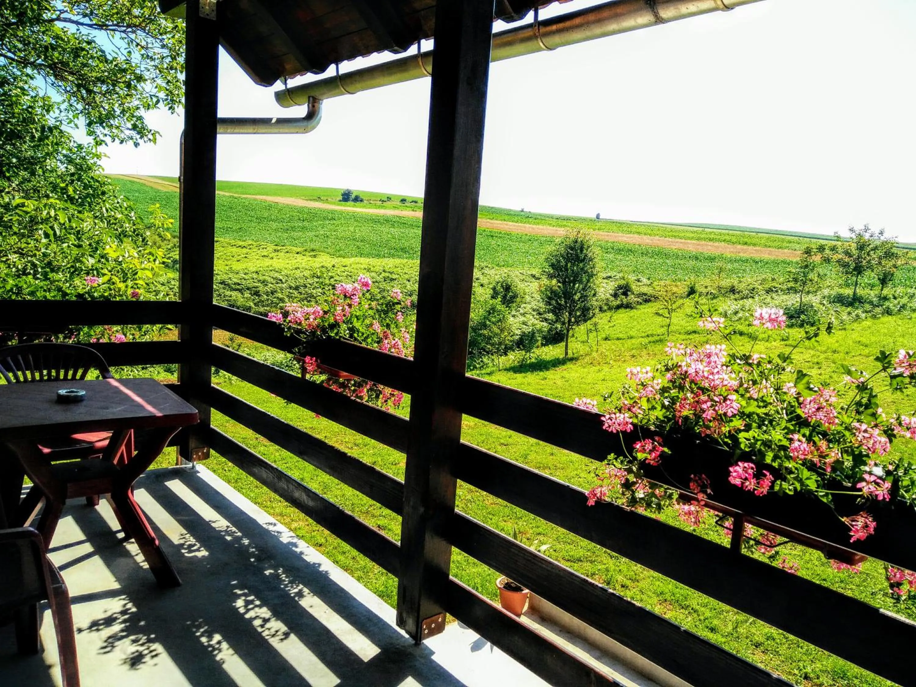 Balcony/Terrace in House Naomi