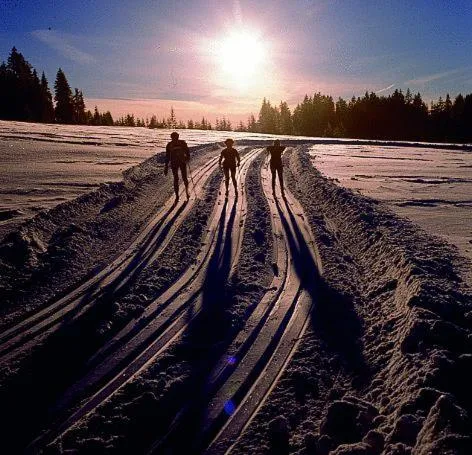 Skiing in Sporthotel Krone