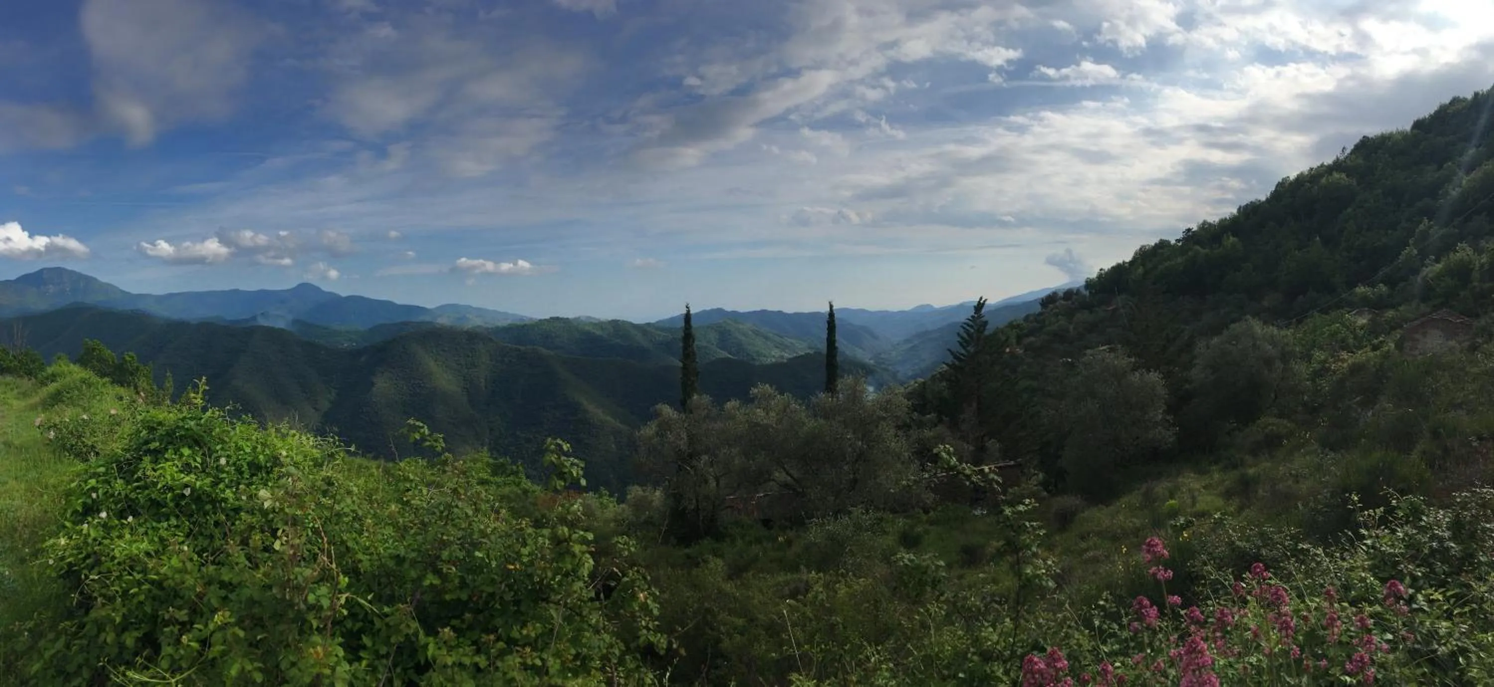 Nearby landmark in Via Col Tempo
