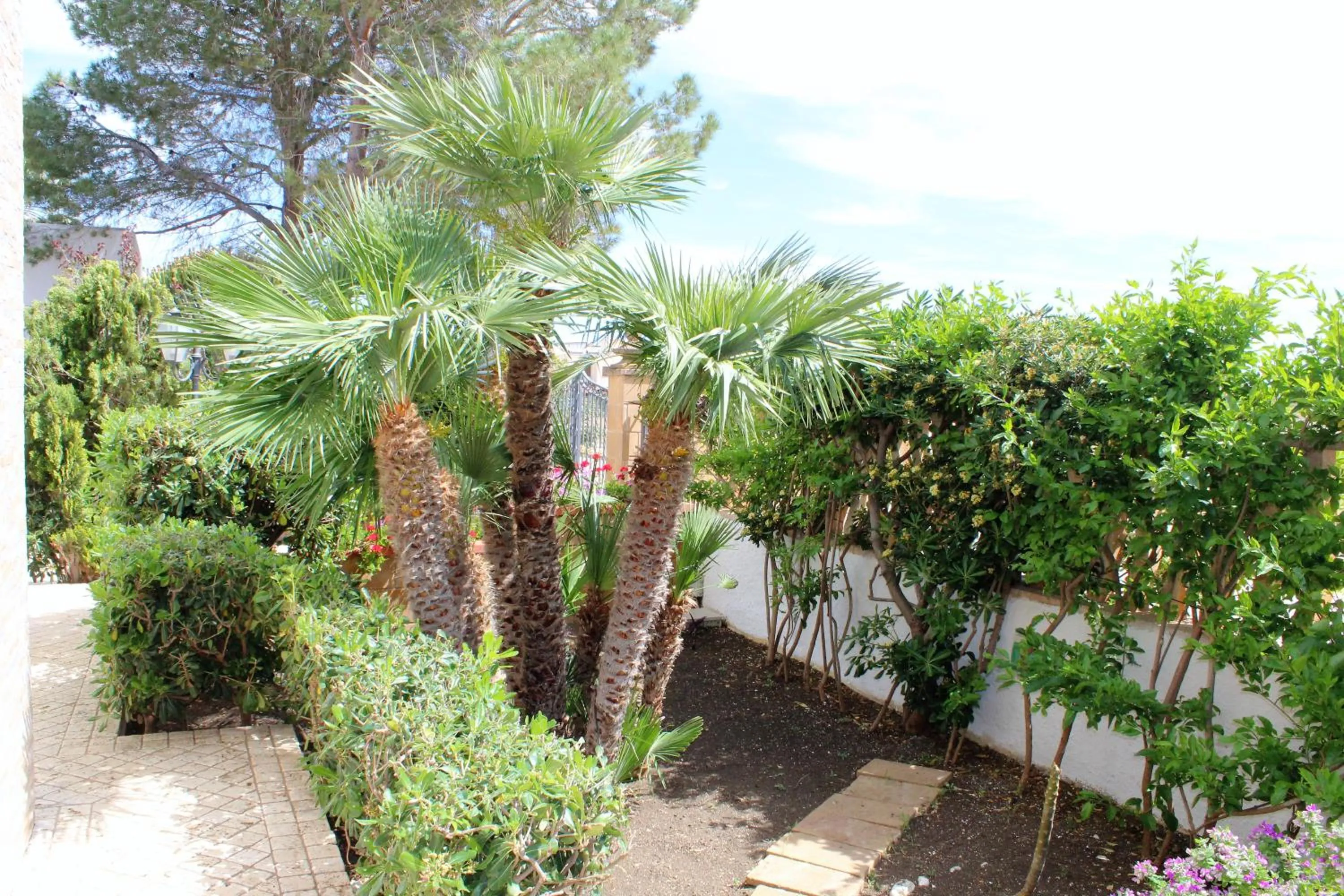 Garden in B&B Villa Bea