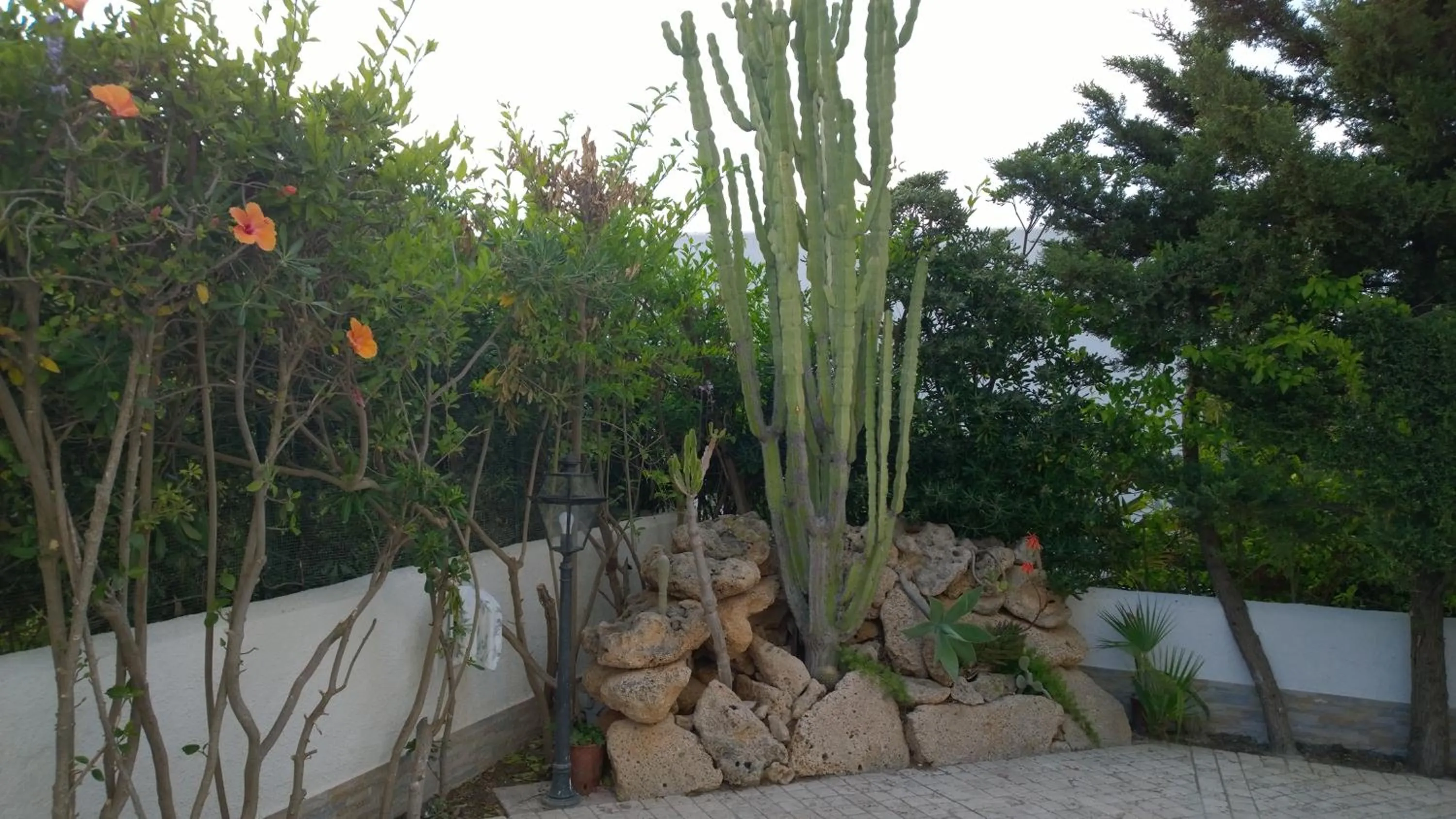 Garden in B&B Villa Bea