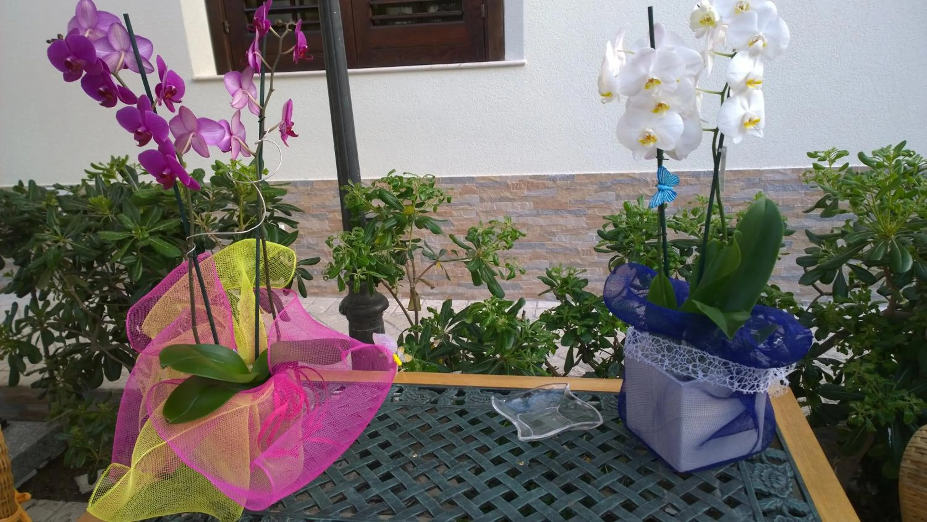 Garden in B&B Villa Bea