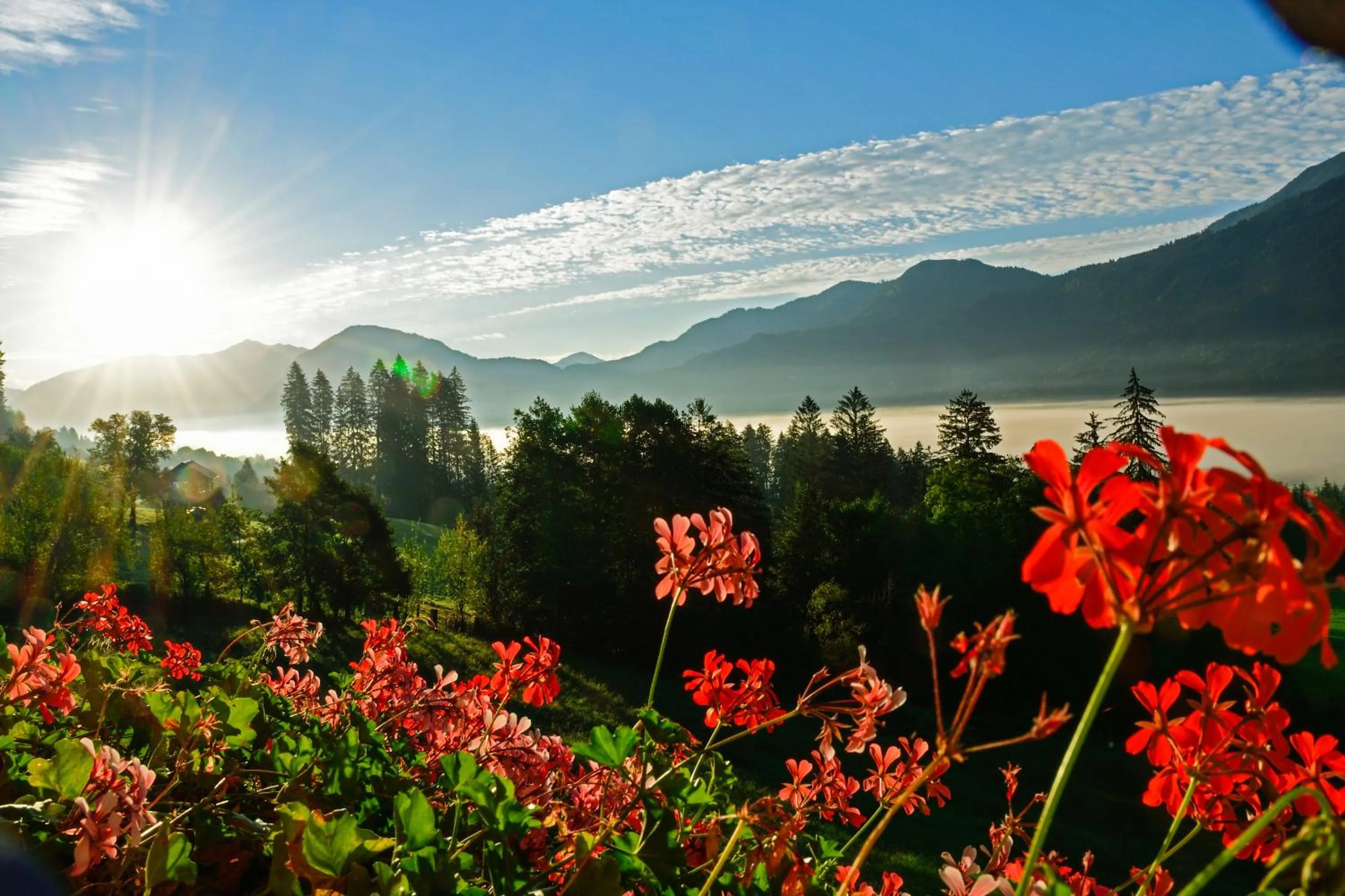 Neighbourhood in Hotel Glocknerhof