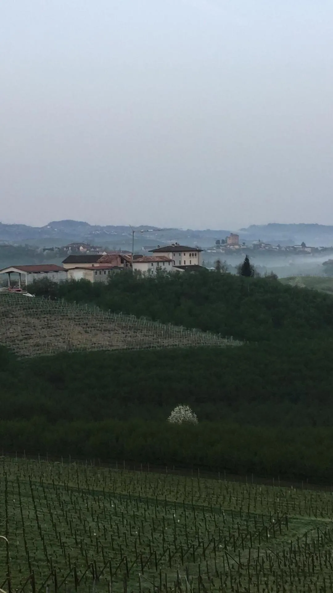 Garden in Cascina Baresane