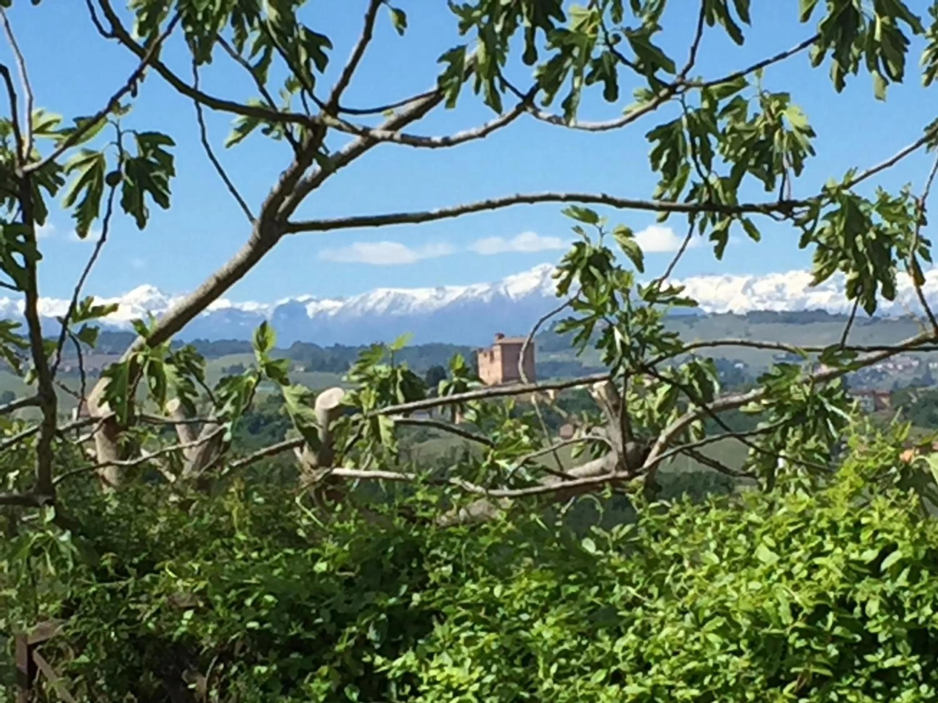 Cascina Baresane