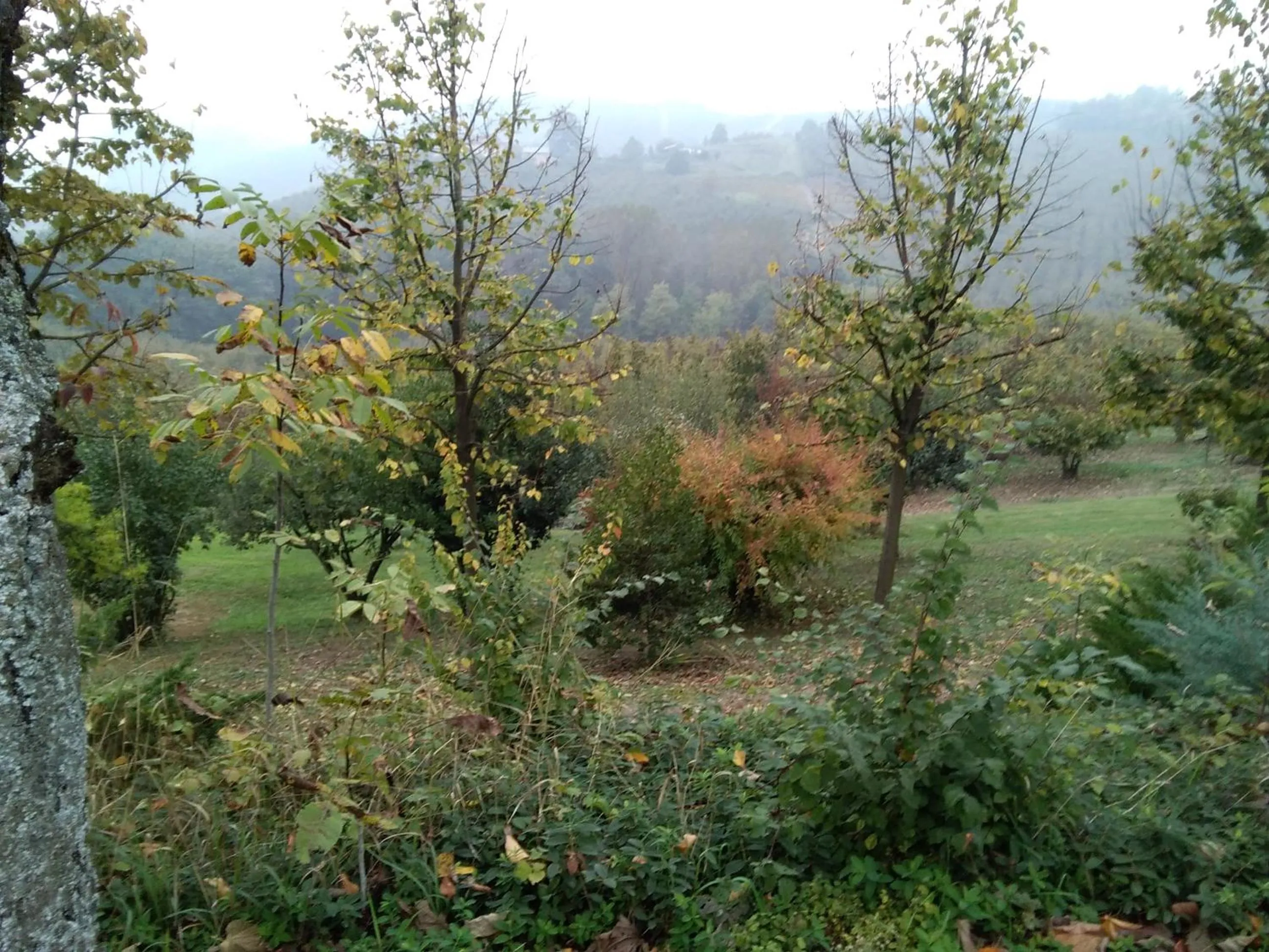 Cascina Baresane