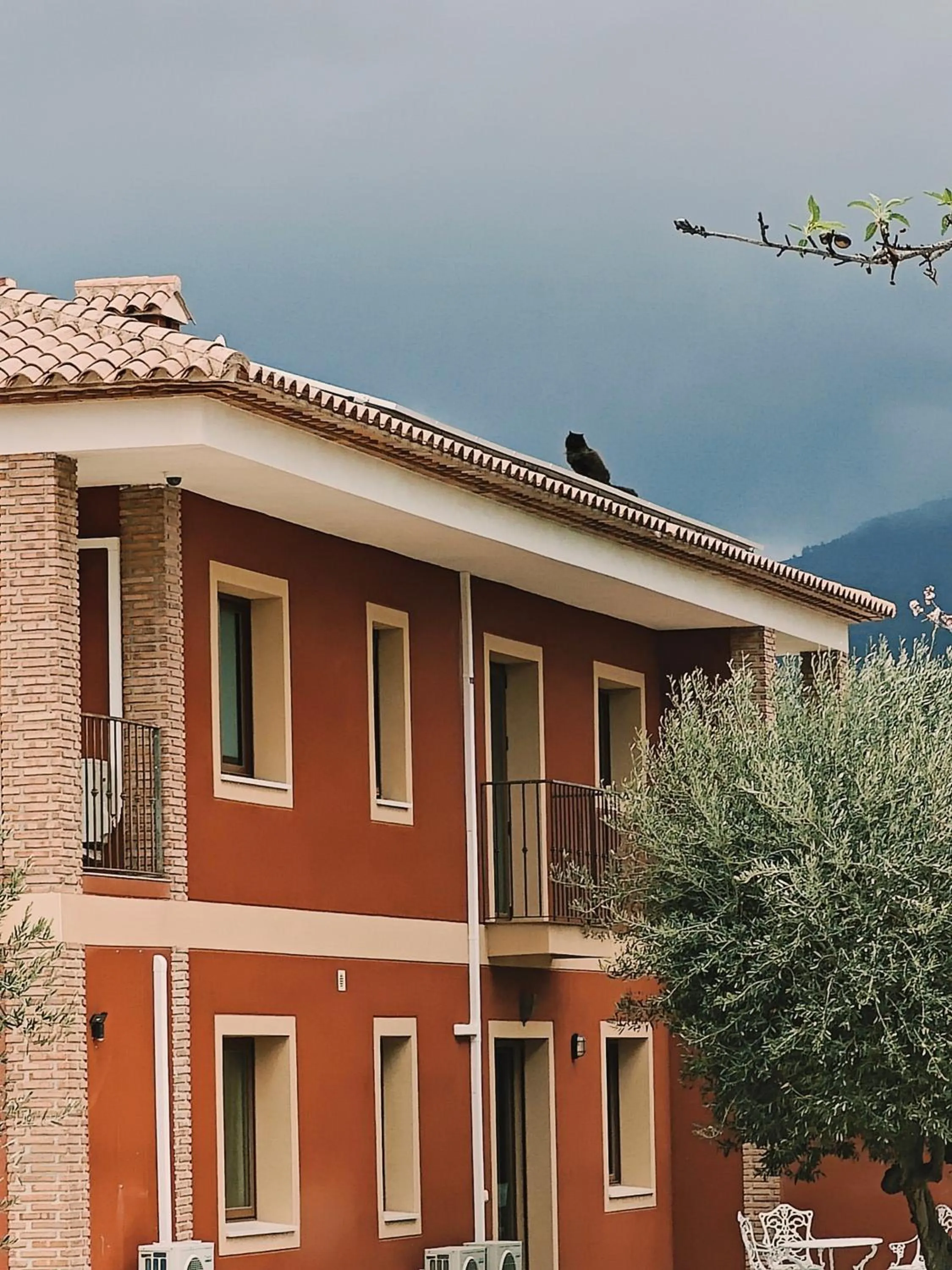 Property building in Finca Oliva