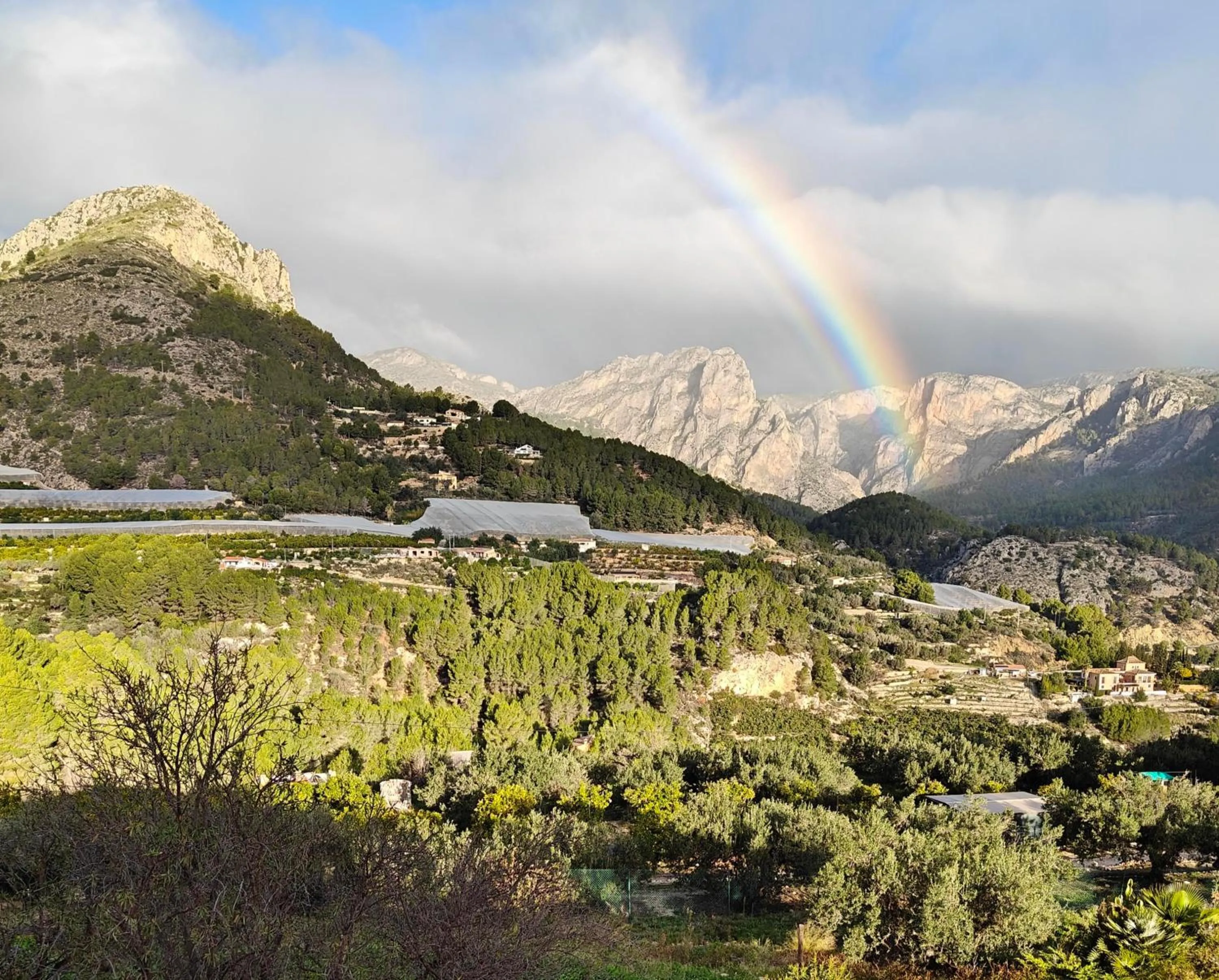 Other in Finca Oliva