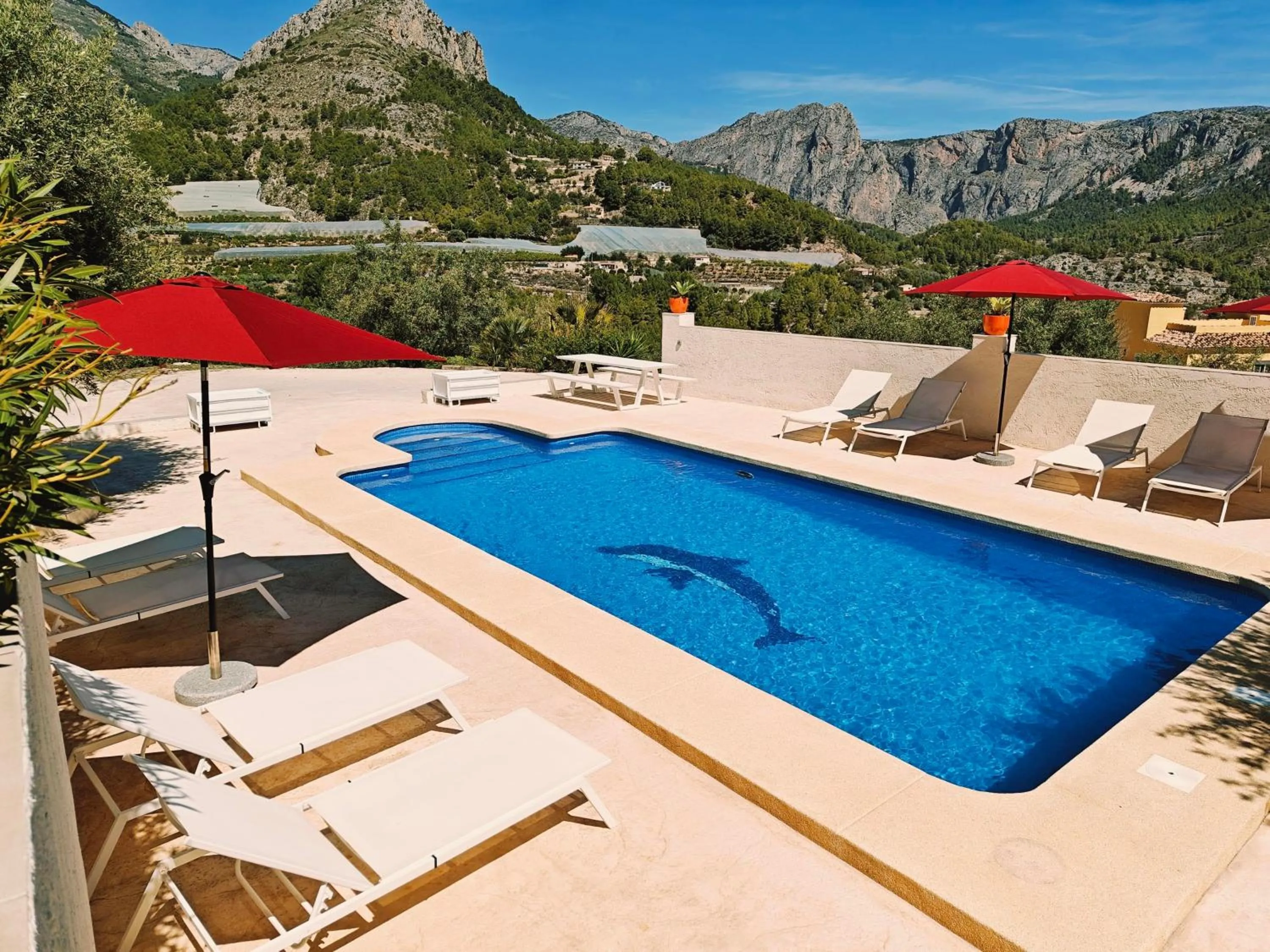 Swimming pool in Finca Oliva