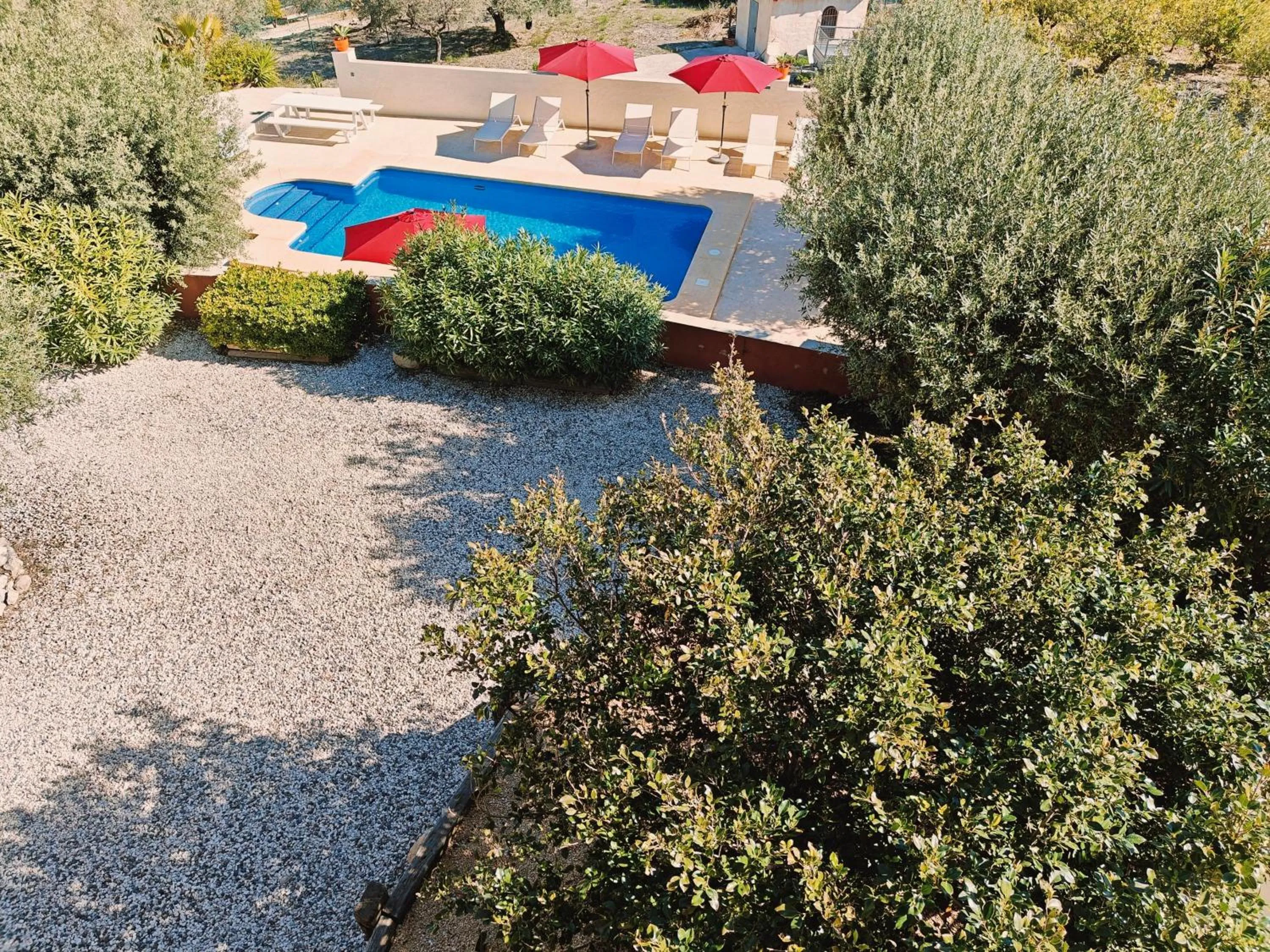 Swimming pool in Finca Oliva