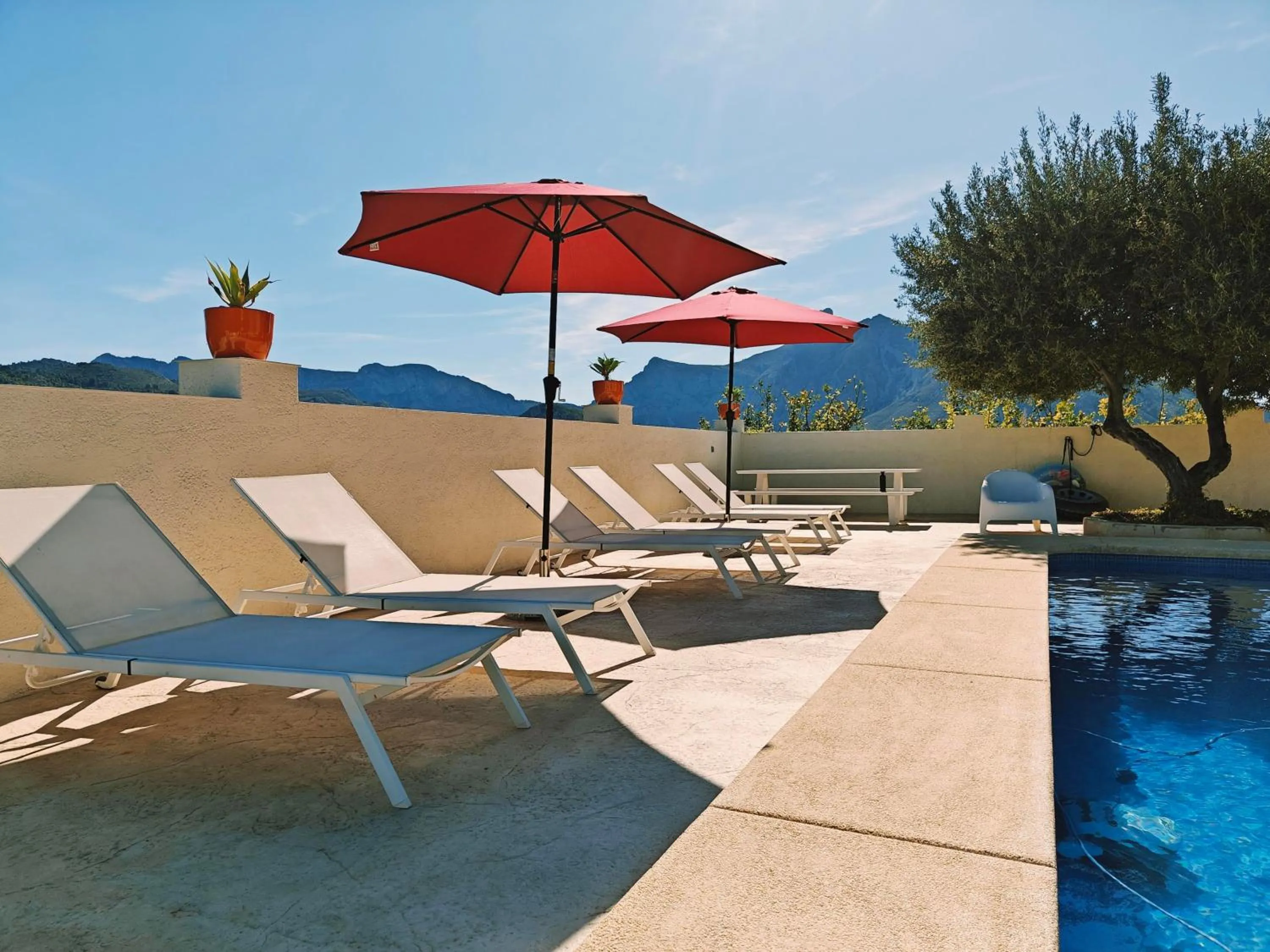 Swimming pool in Finca Oliva