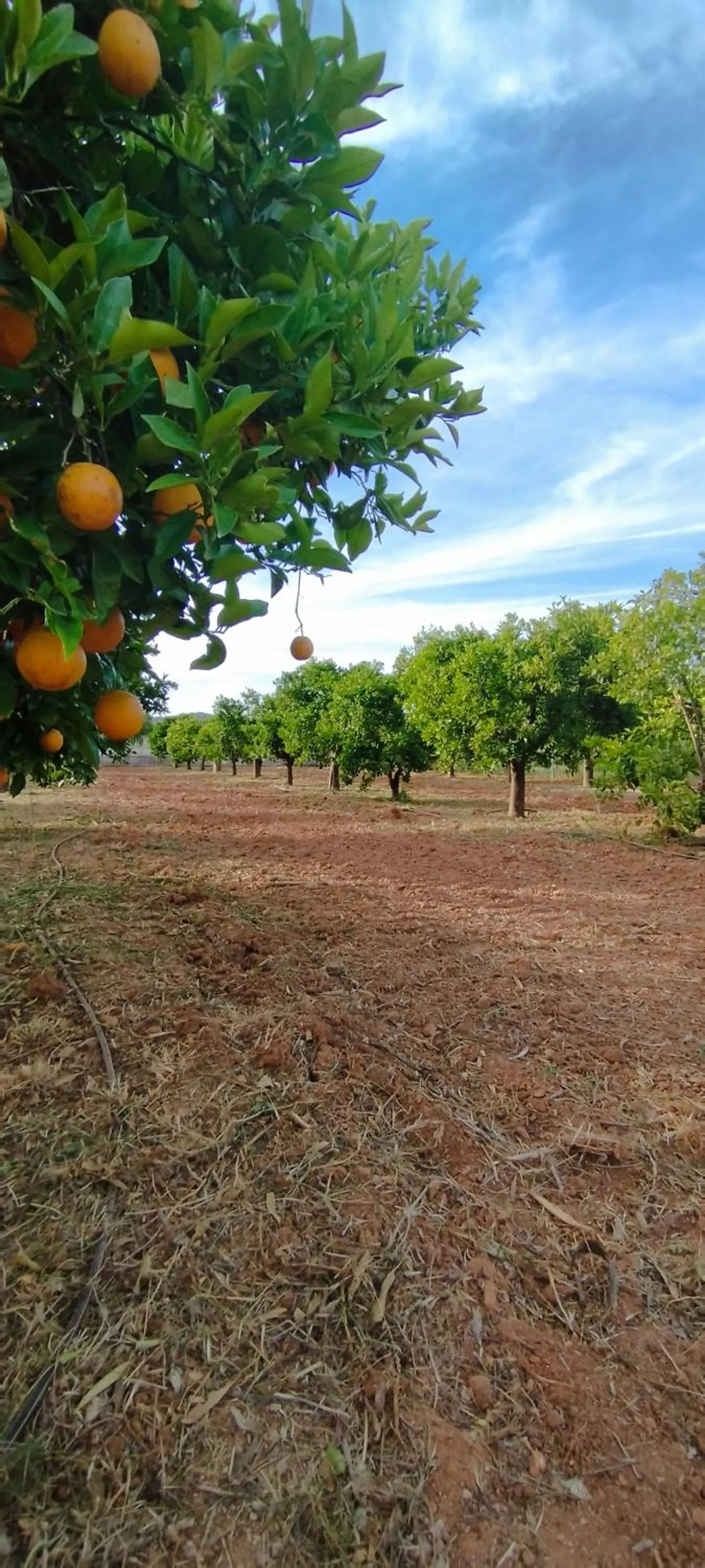 View (from property/room) in B&B Entrecolinas