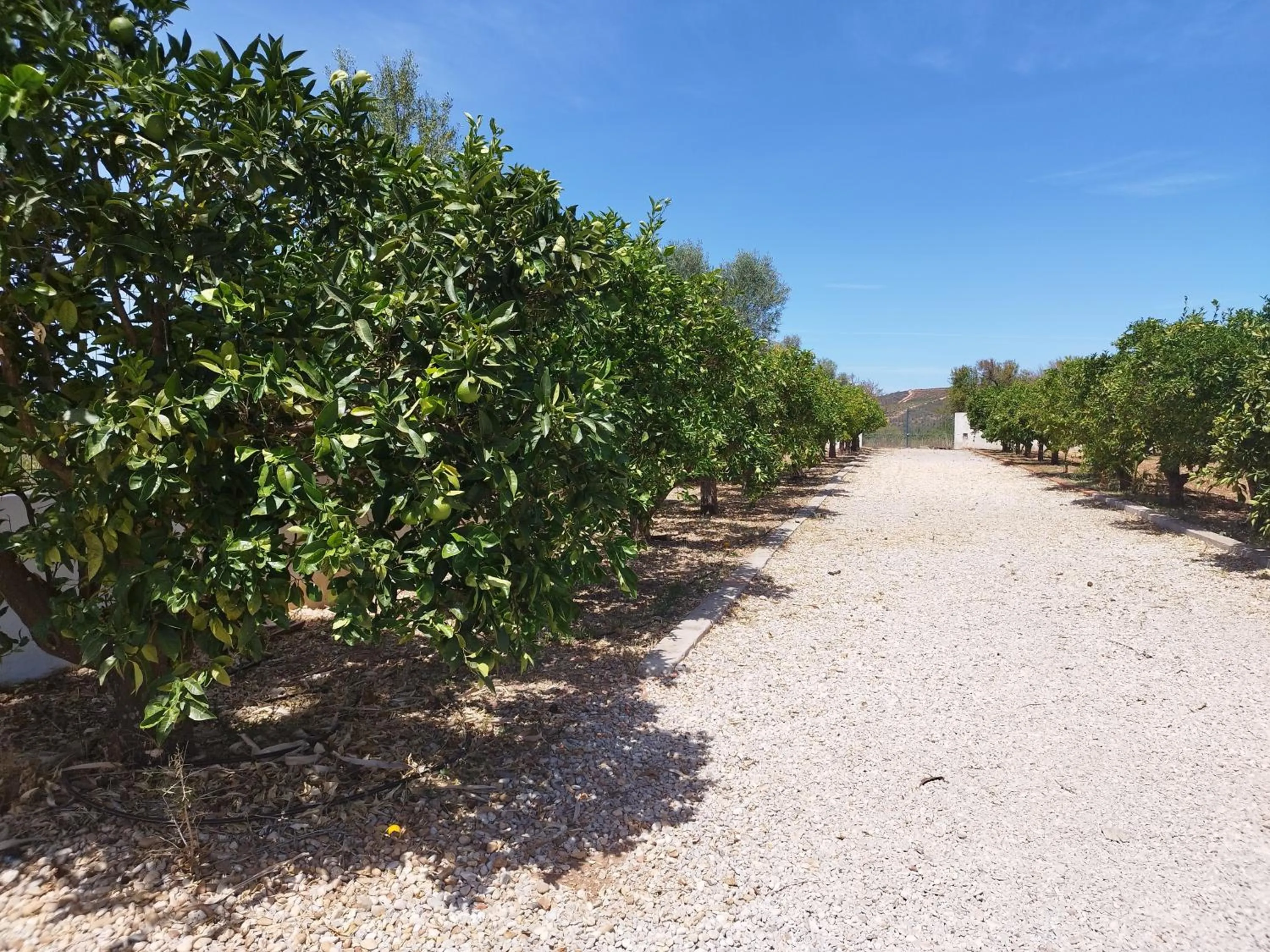 View (from property/room) in B&B Entrecolinas