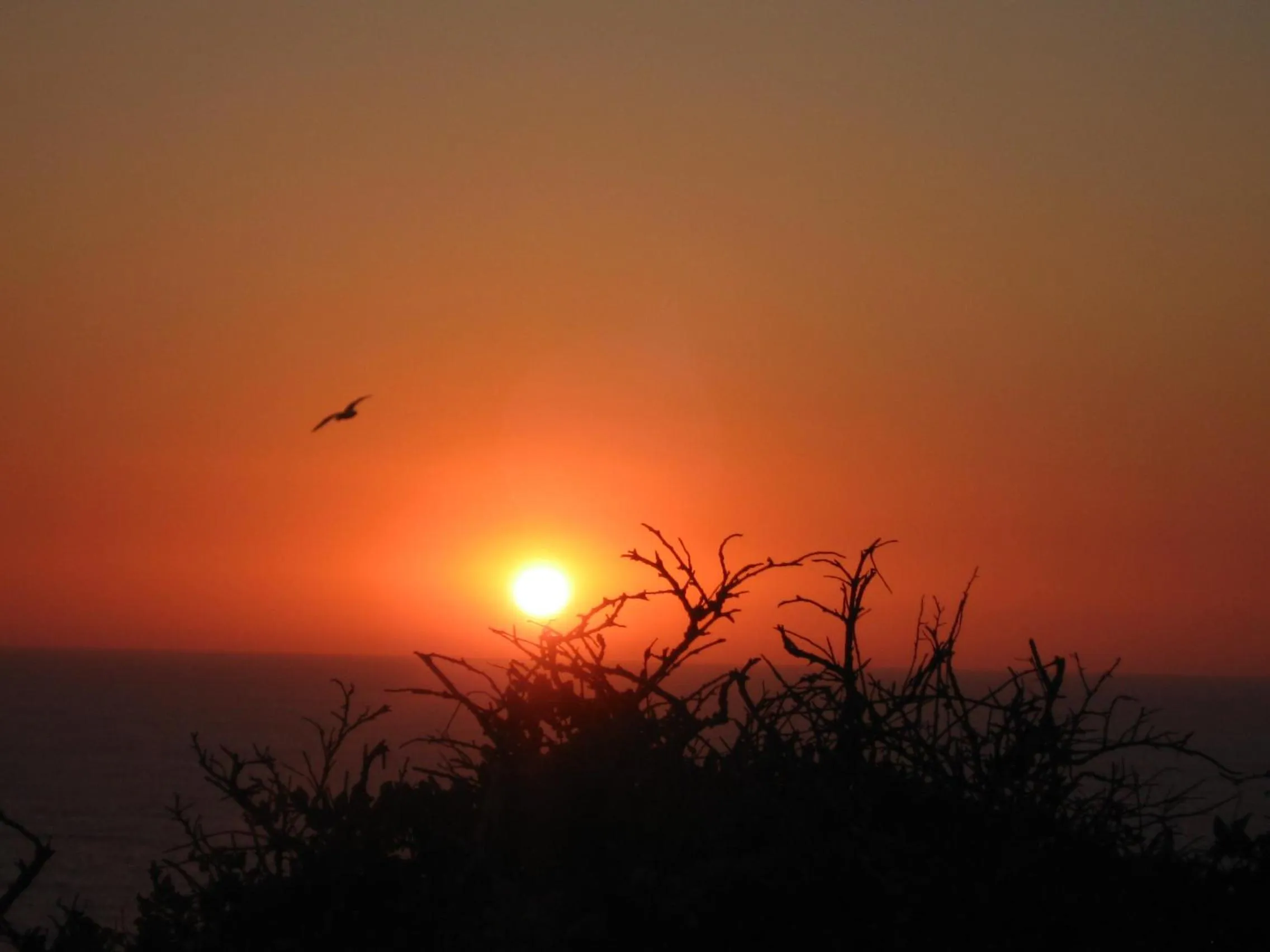 Property building in B&B Entrecolinas