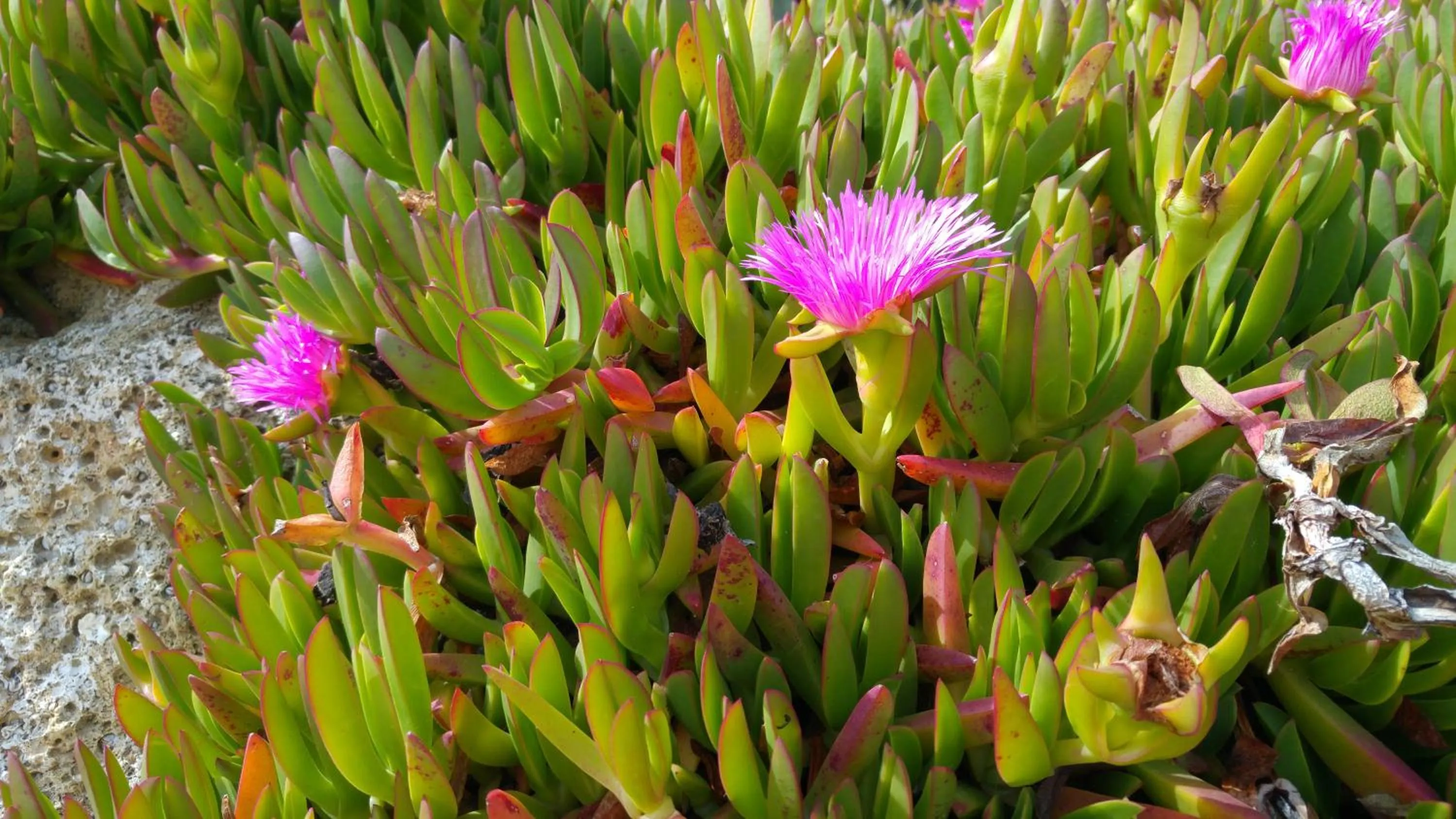 Other in B&B Entrecolinas