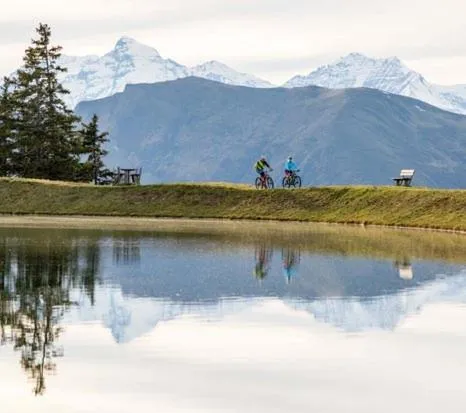 Landhotel Steindlwirt