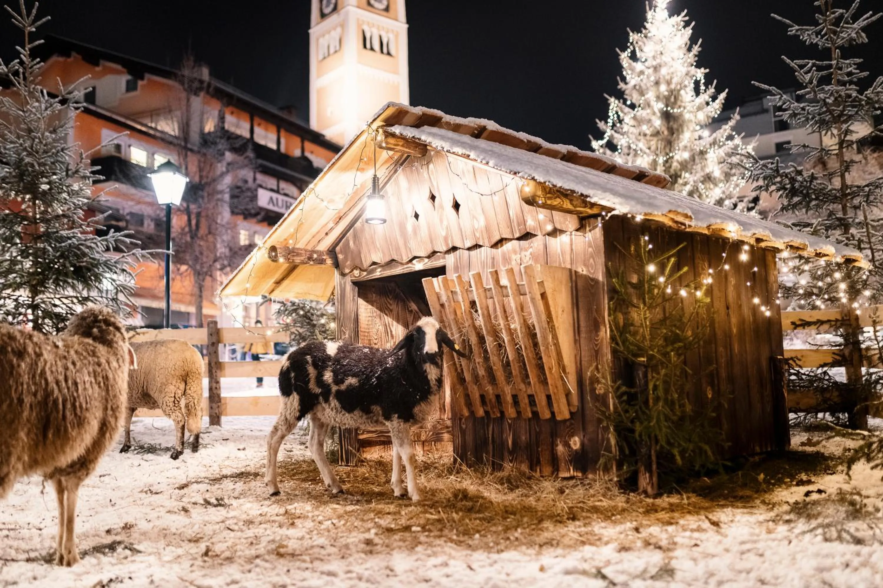 Landhotel Steindlwirt
