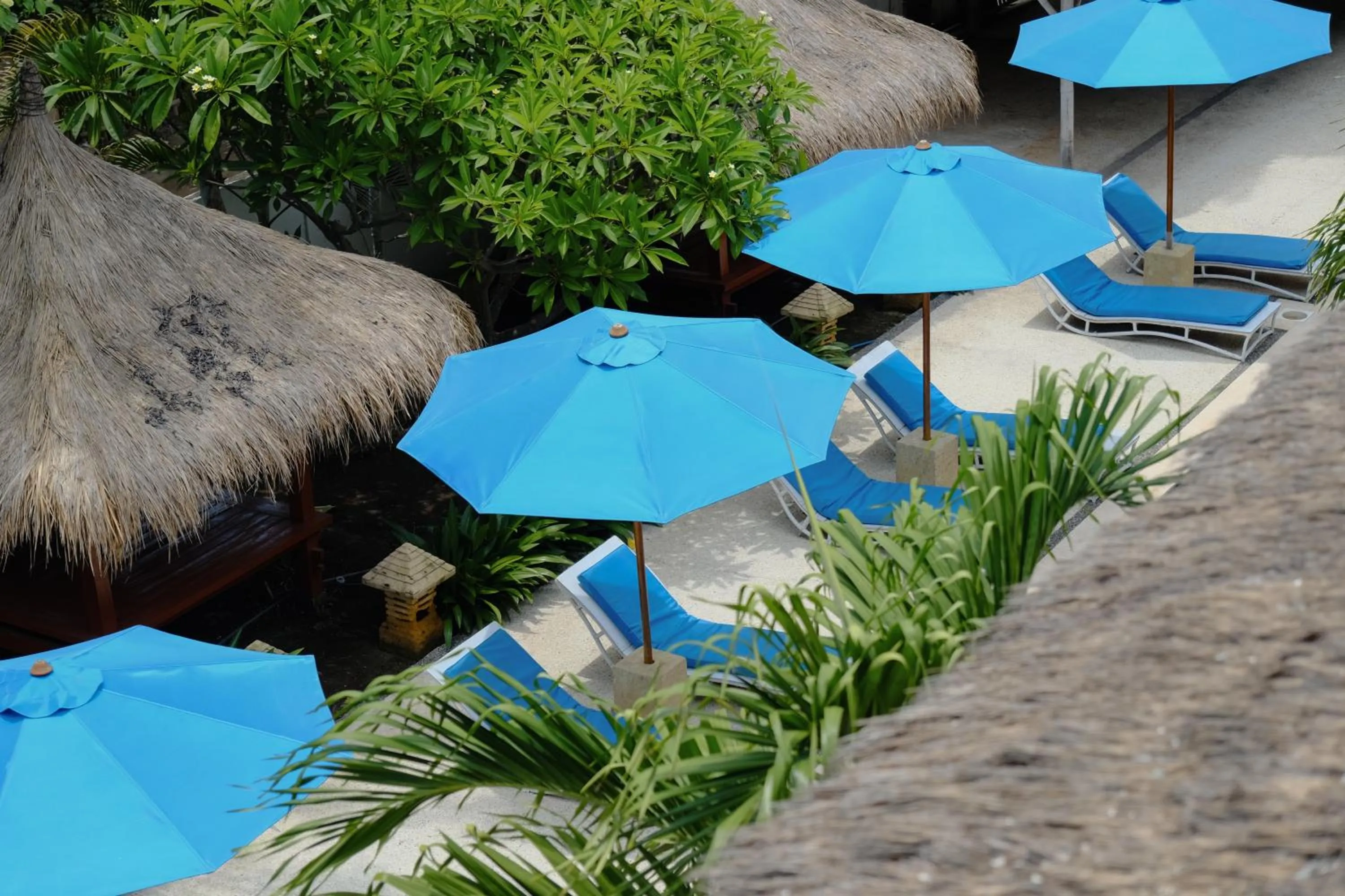 Day in Trawangan Nirvana