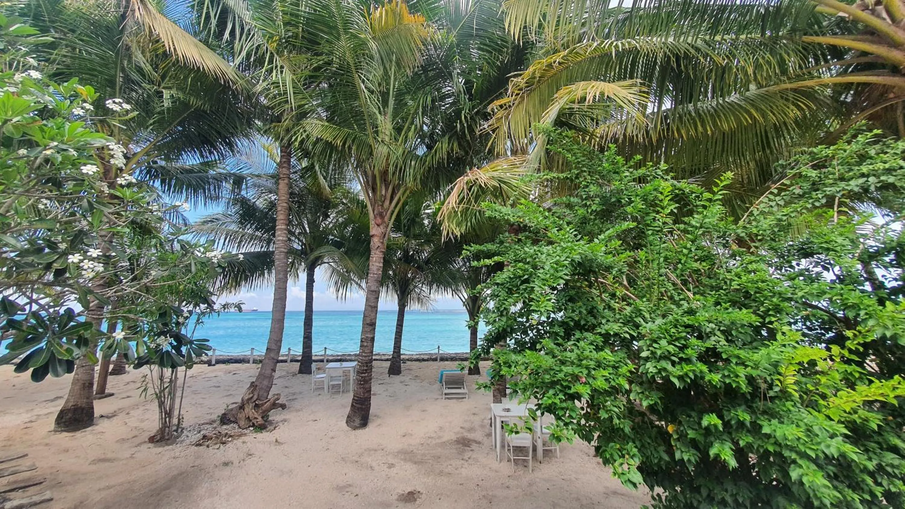 Restaurant/places to eat in Myamo Beach Lodge