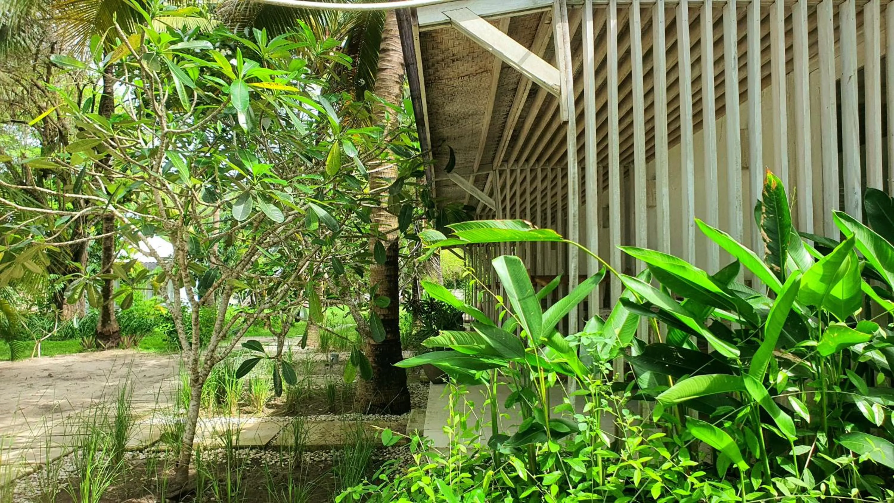 Garden in Myamo Beach Lodge