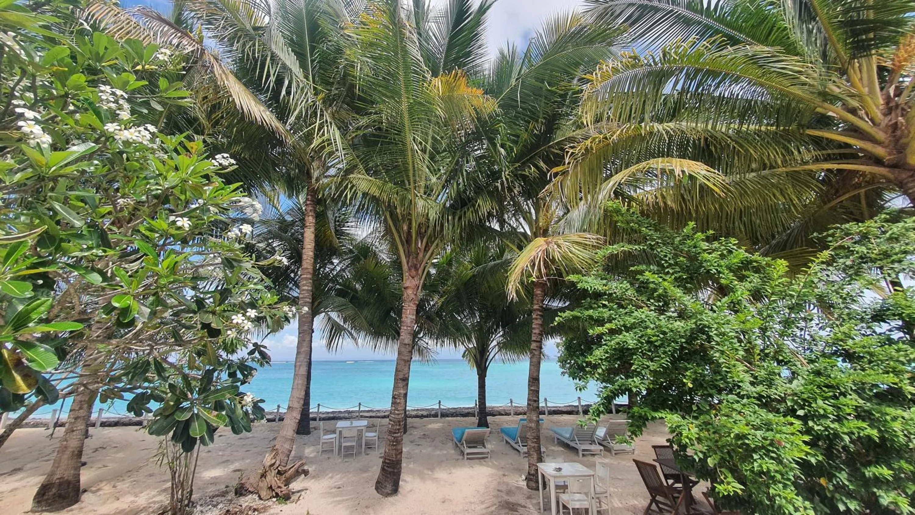 Restaurant/places to eat in Myamo Beach Lodge