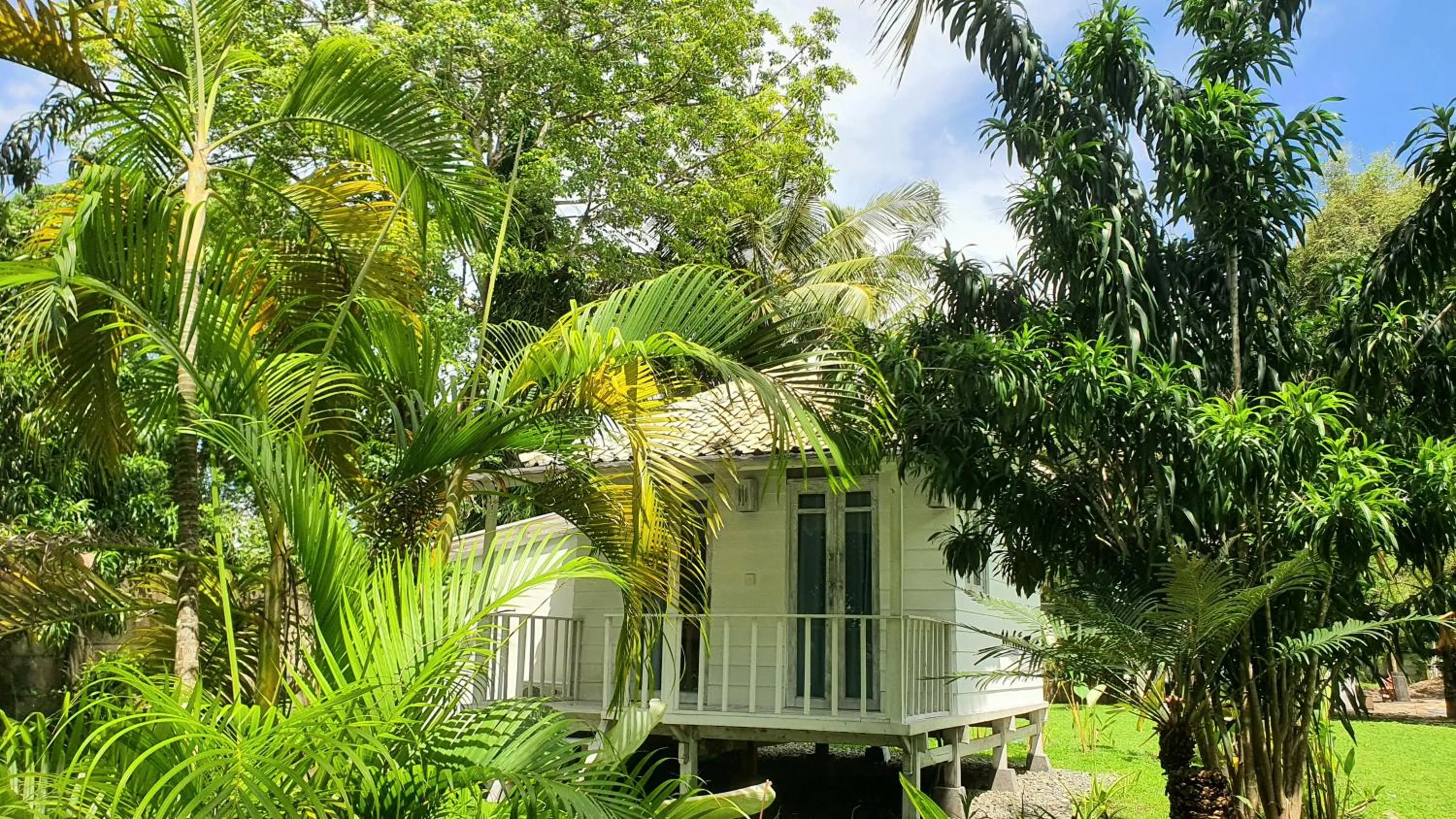 View (from property/room) in Myamo Beach Lodge