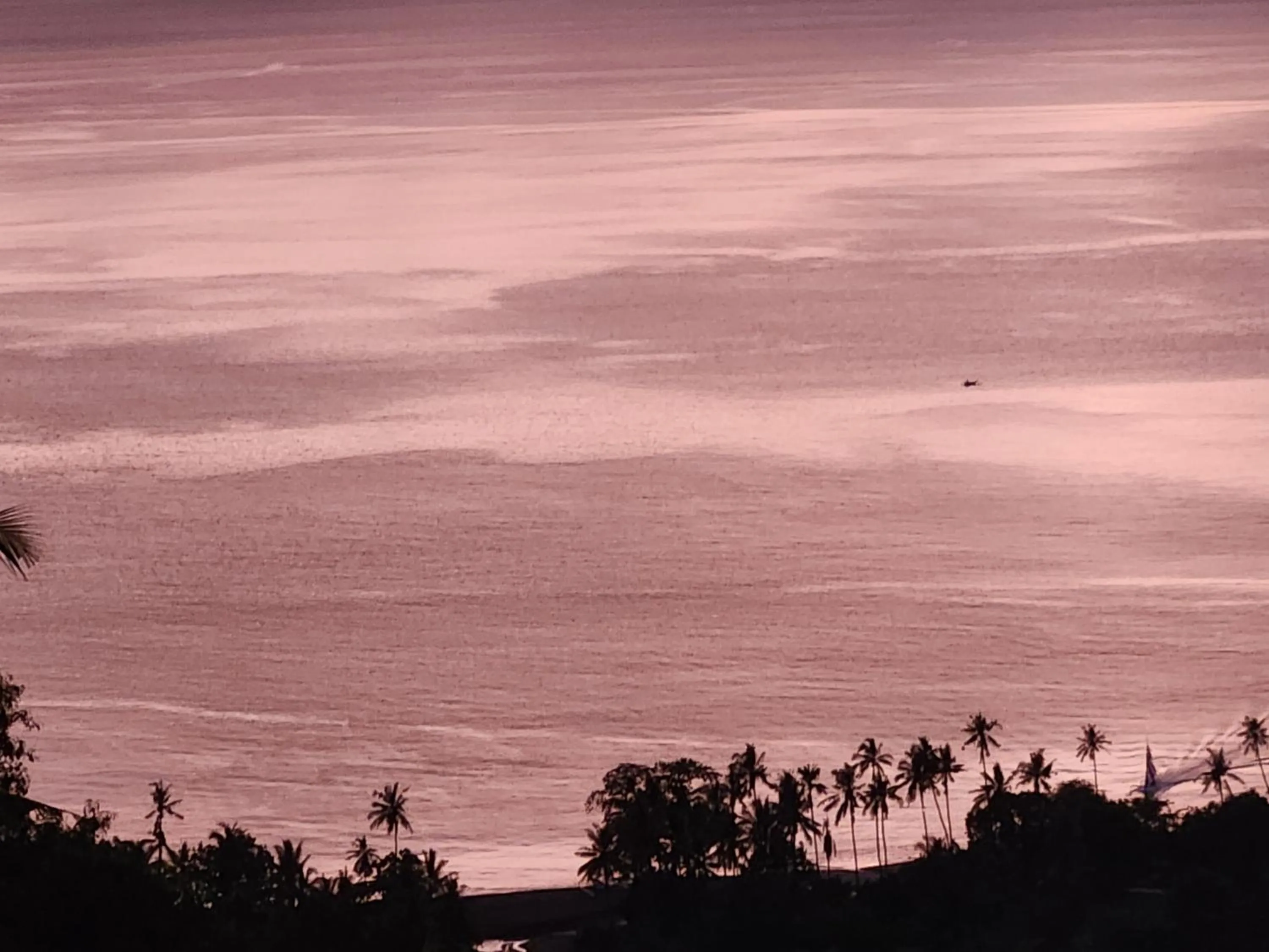 Natural landscape in Villa Umbrella Lombok