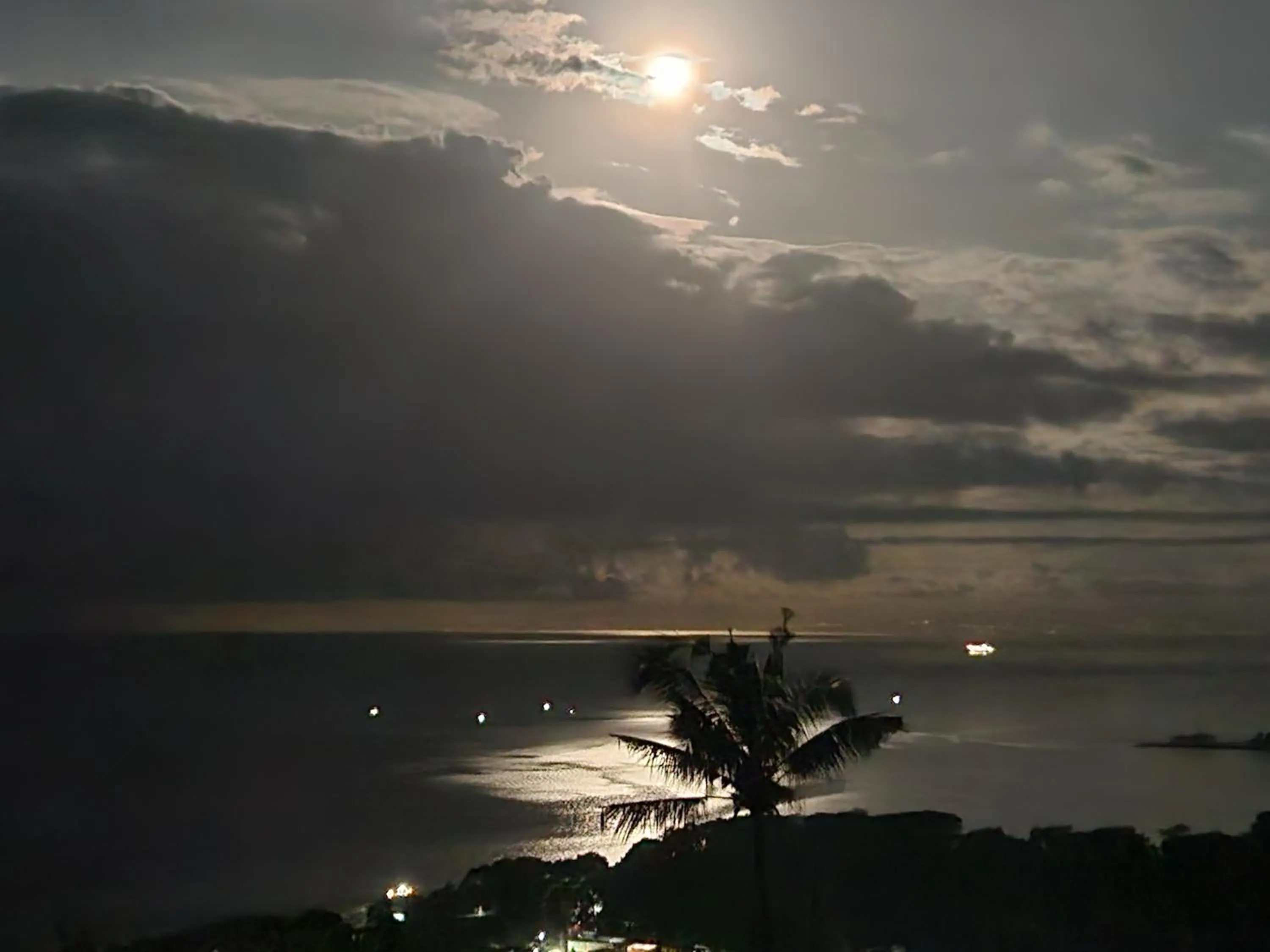 Natural landscape in Villa Umbrella Lombok