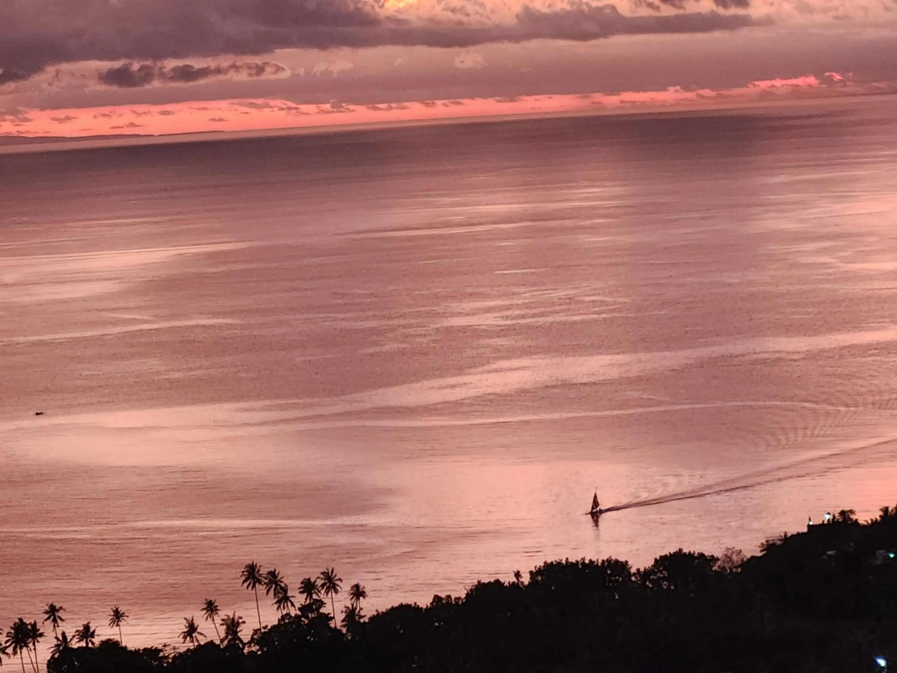 Natural landscape in Villa Umbrella Lombok