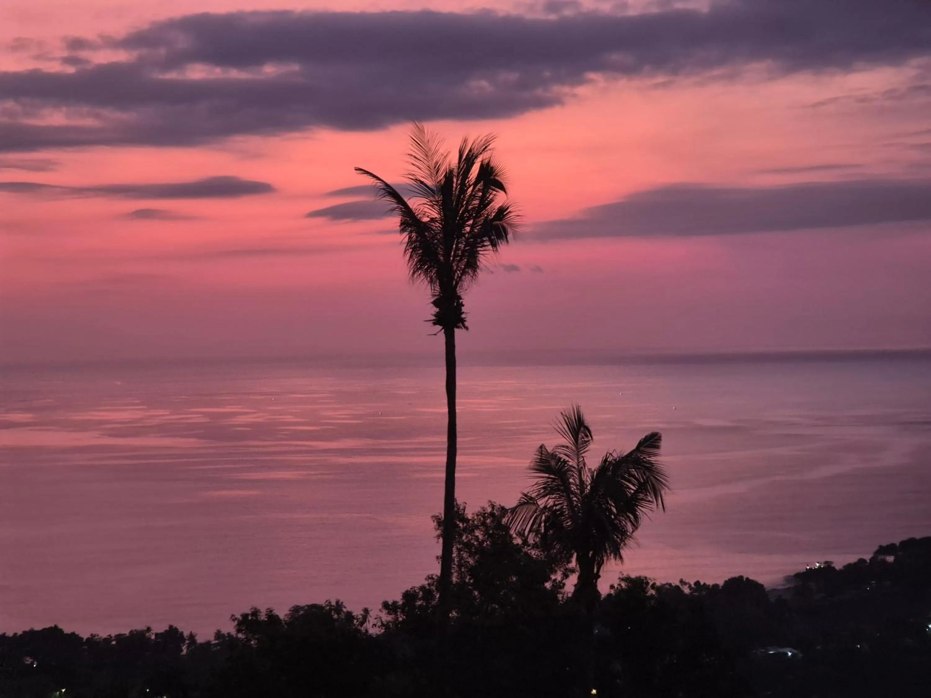 Natural landscape in Villa Umbrella Lombok