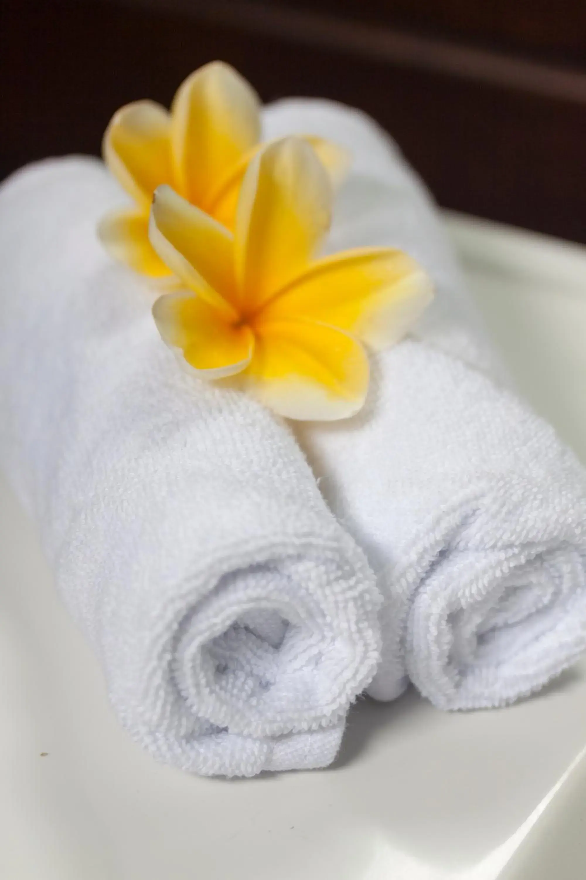 Spa and wellness centre/facilities in Coconut Boutique Resort Spa and wellness centre/facilities in Coconut Boutique Resort