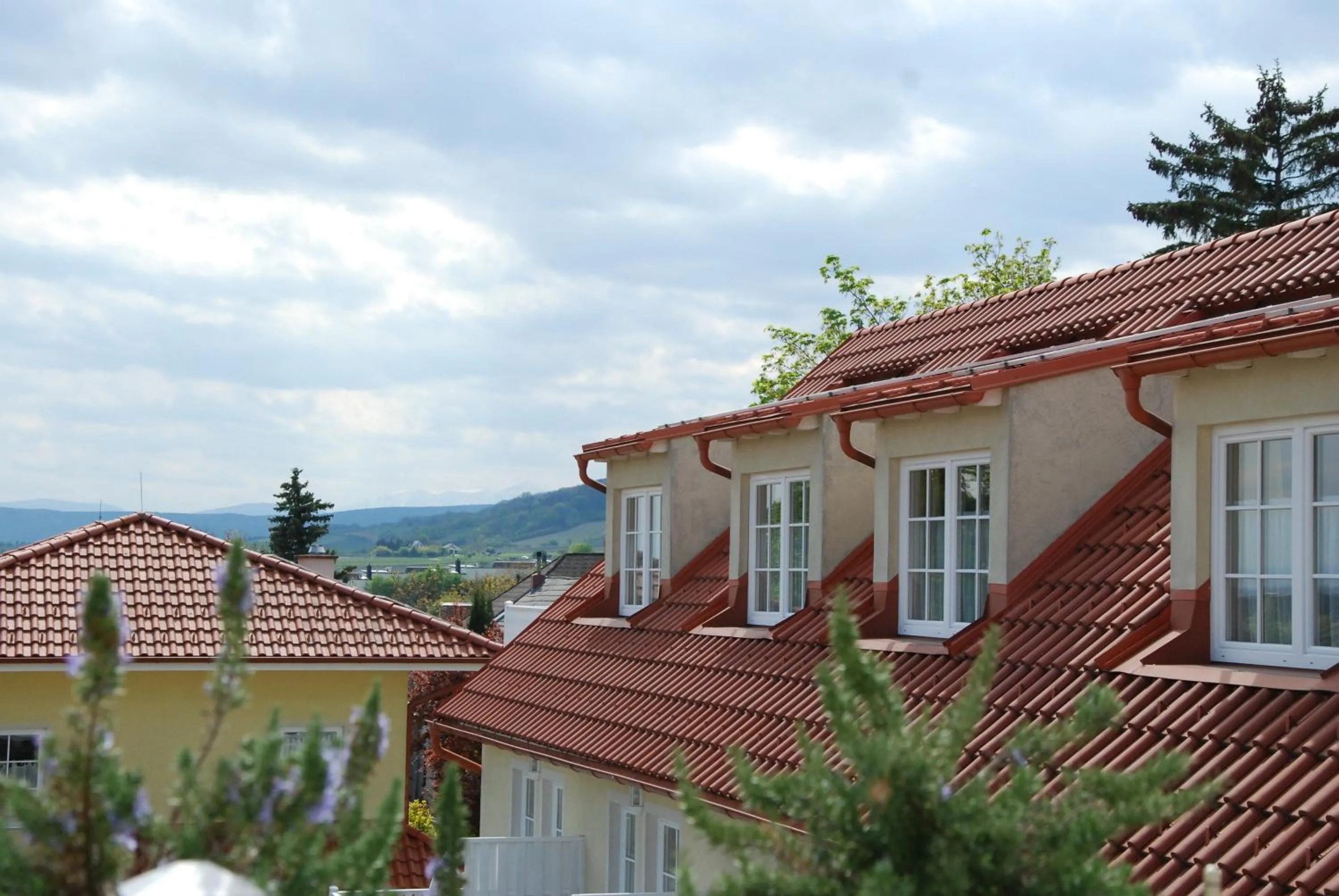 Natural landscape in Winzerhotel Gumpoldskirchen