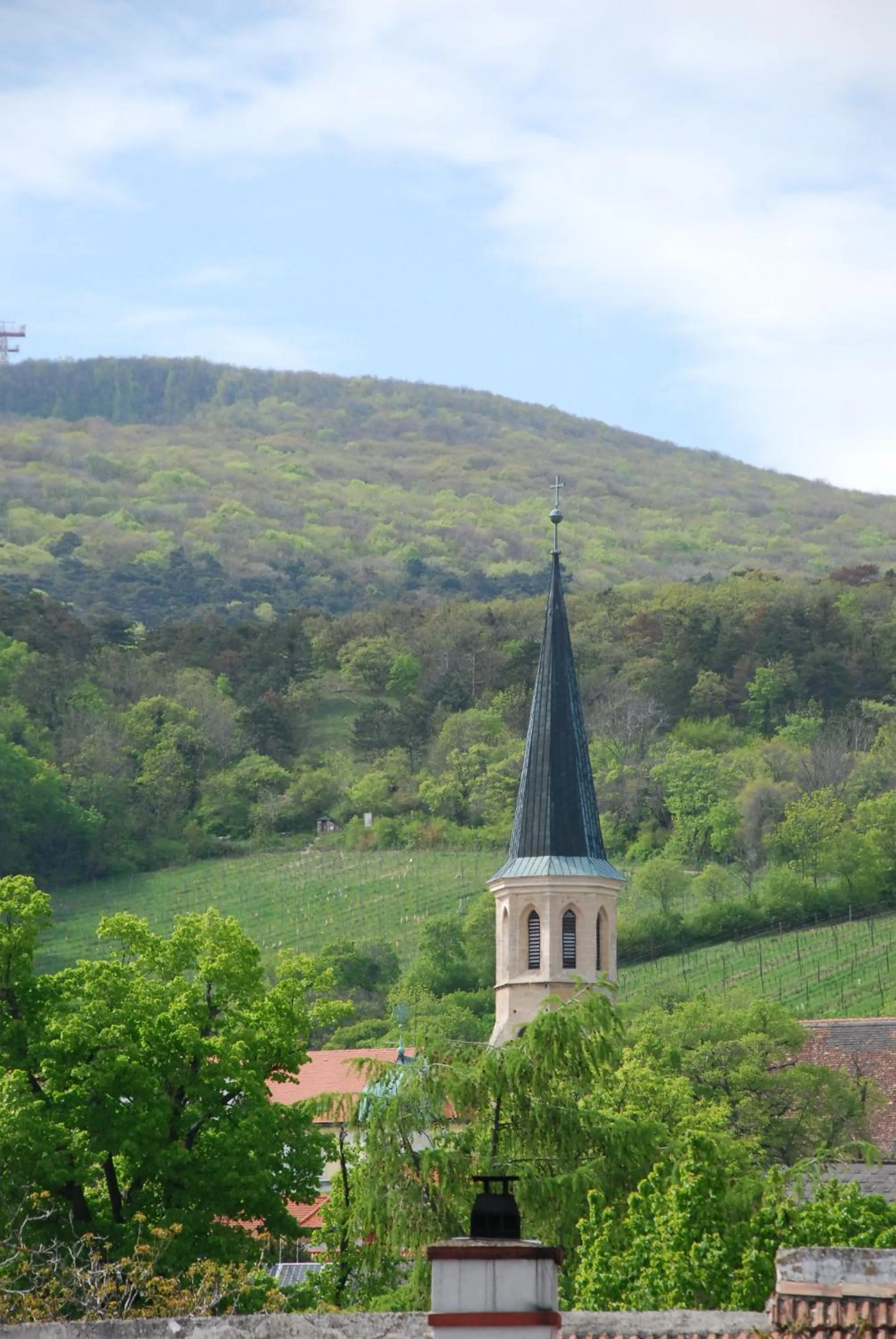 Neighbourhood in Winzerhotel Gumpoldskirchen