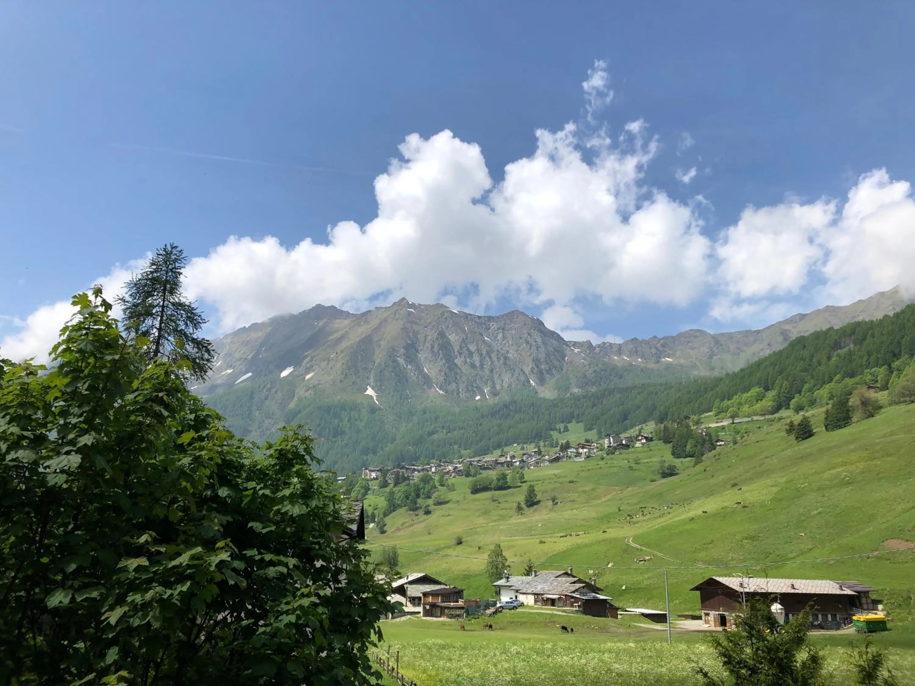 R.T.A. Hotel Monte Rosa