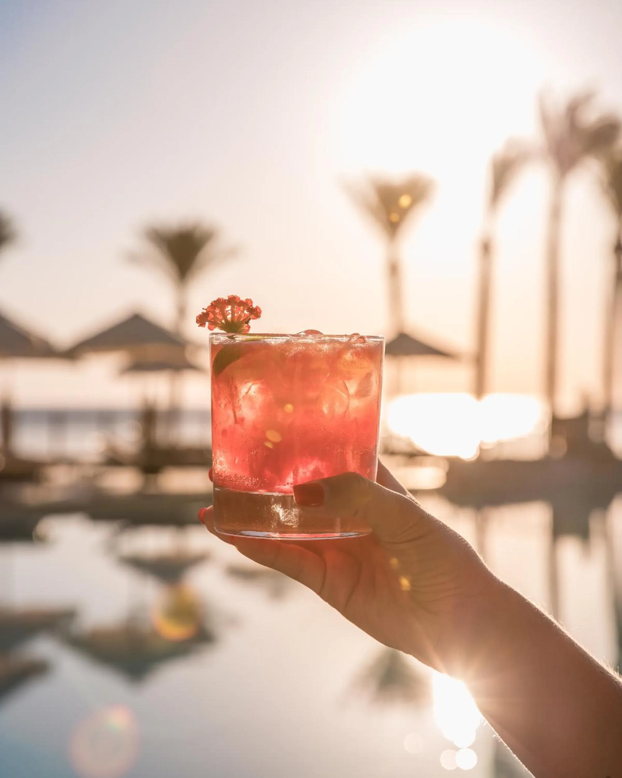 View (from property/room) in The Makadi Spa Hotel - Couples Only 18 Years Plus