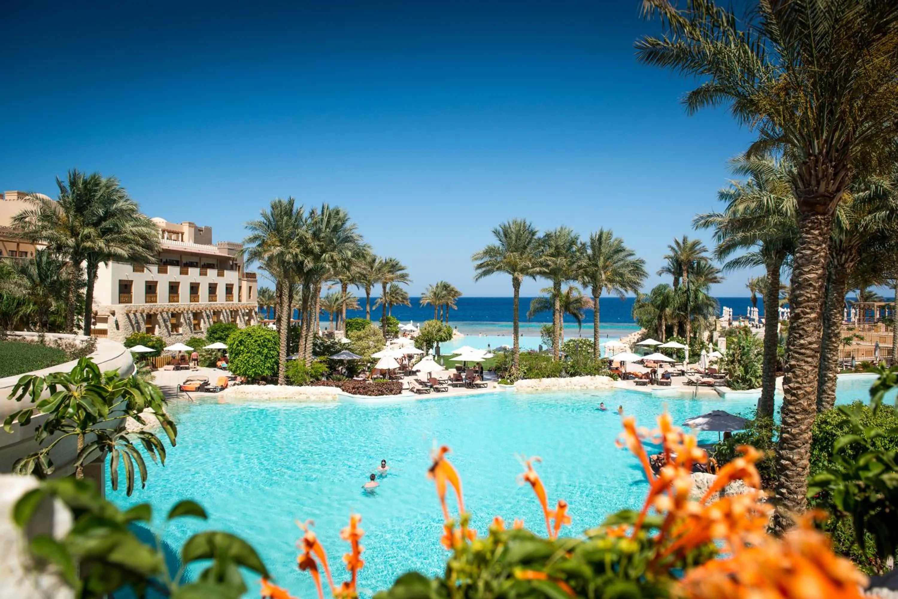 Swimming pool in The Makadi Spa Hotel - Couples Only 18 Years Plus