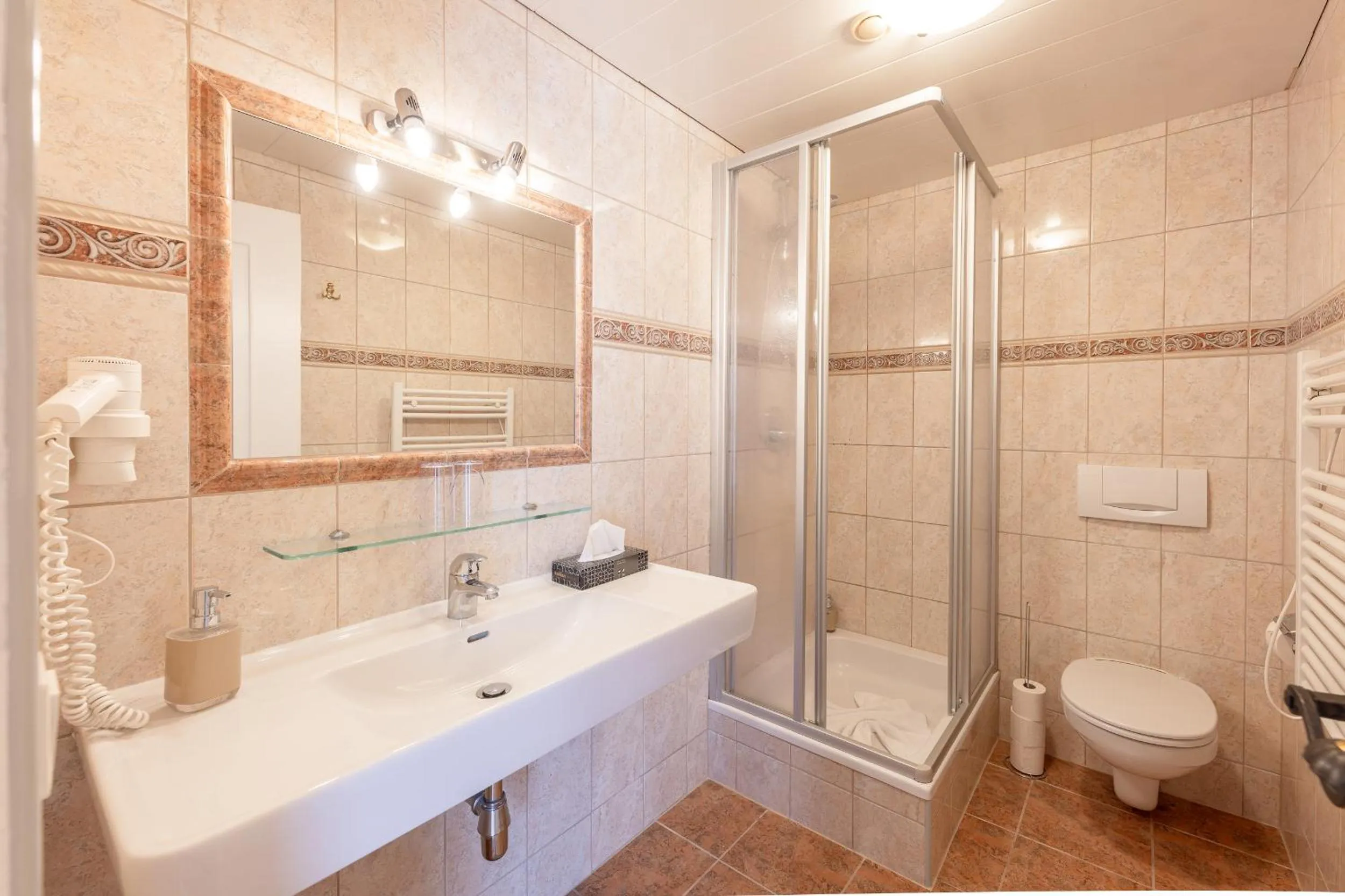 Toilet in Hotel Berghof