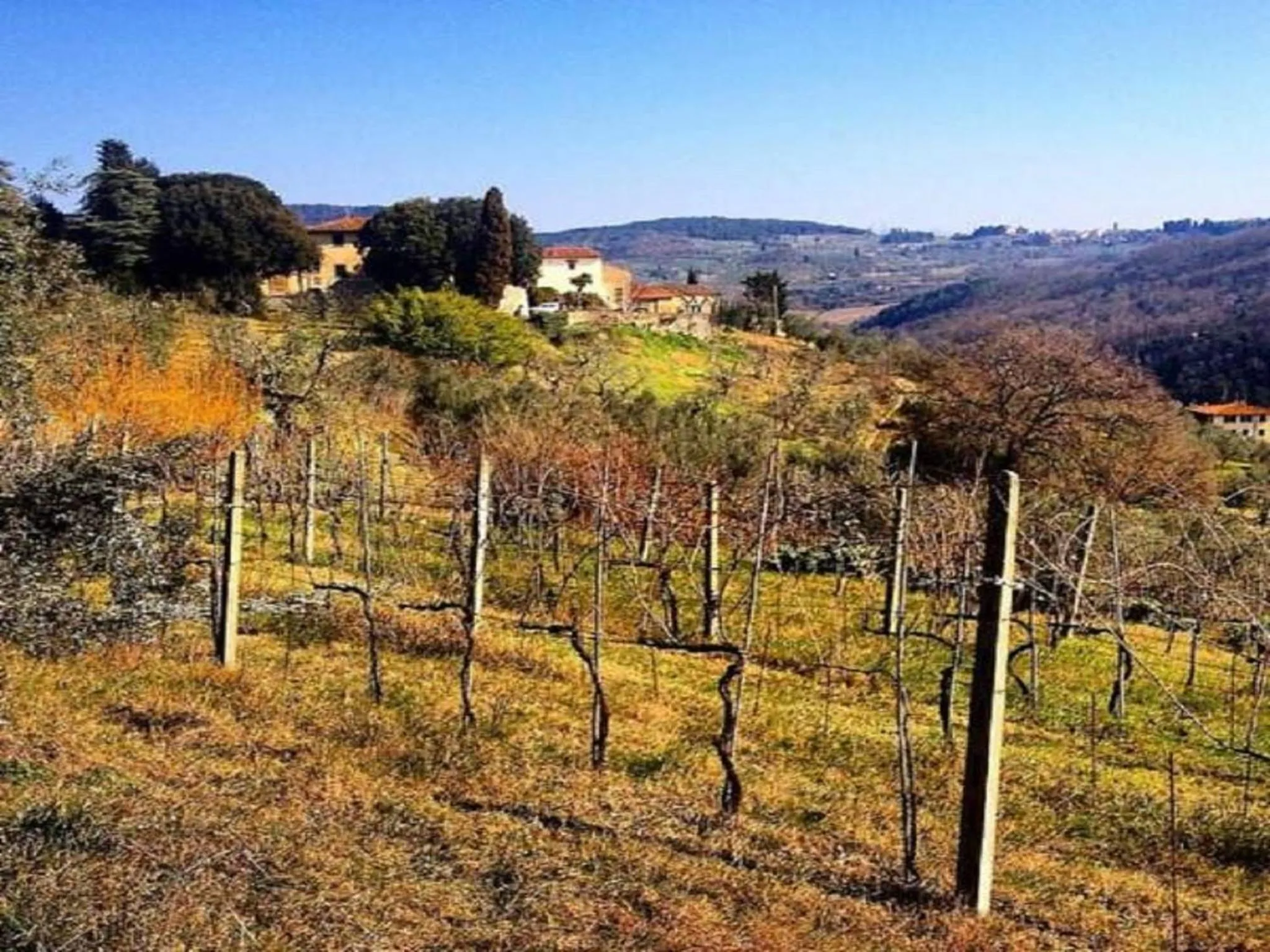 View (from property/room) in Agriturismo Villa Dauphiné
