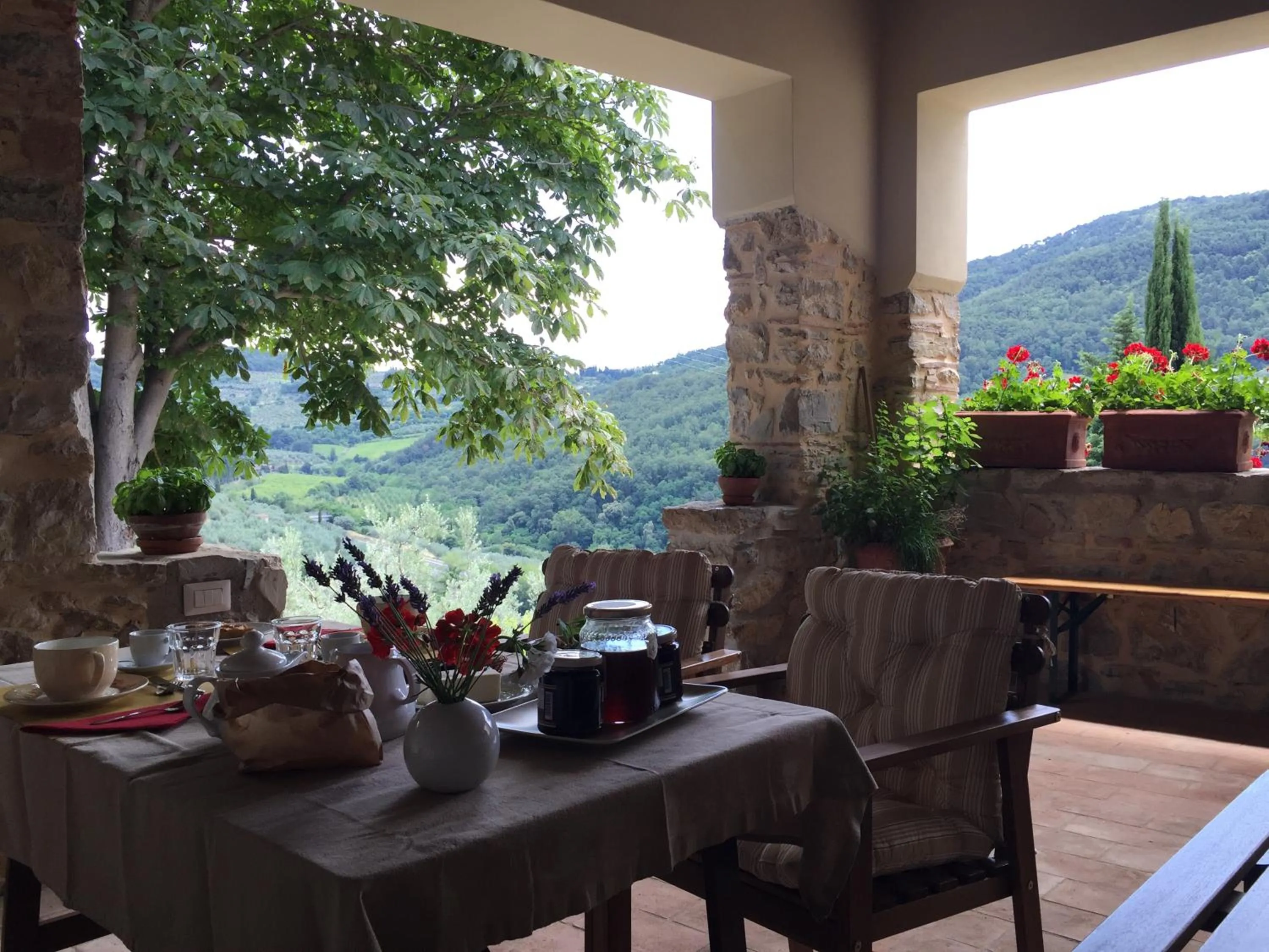 Balcony/Terrace in Agriturismo Villa Dauphiné
