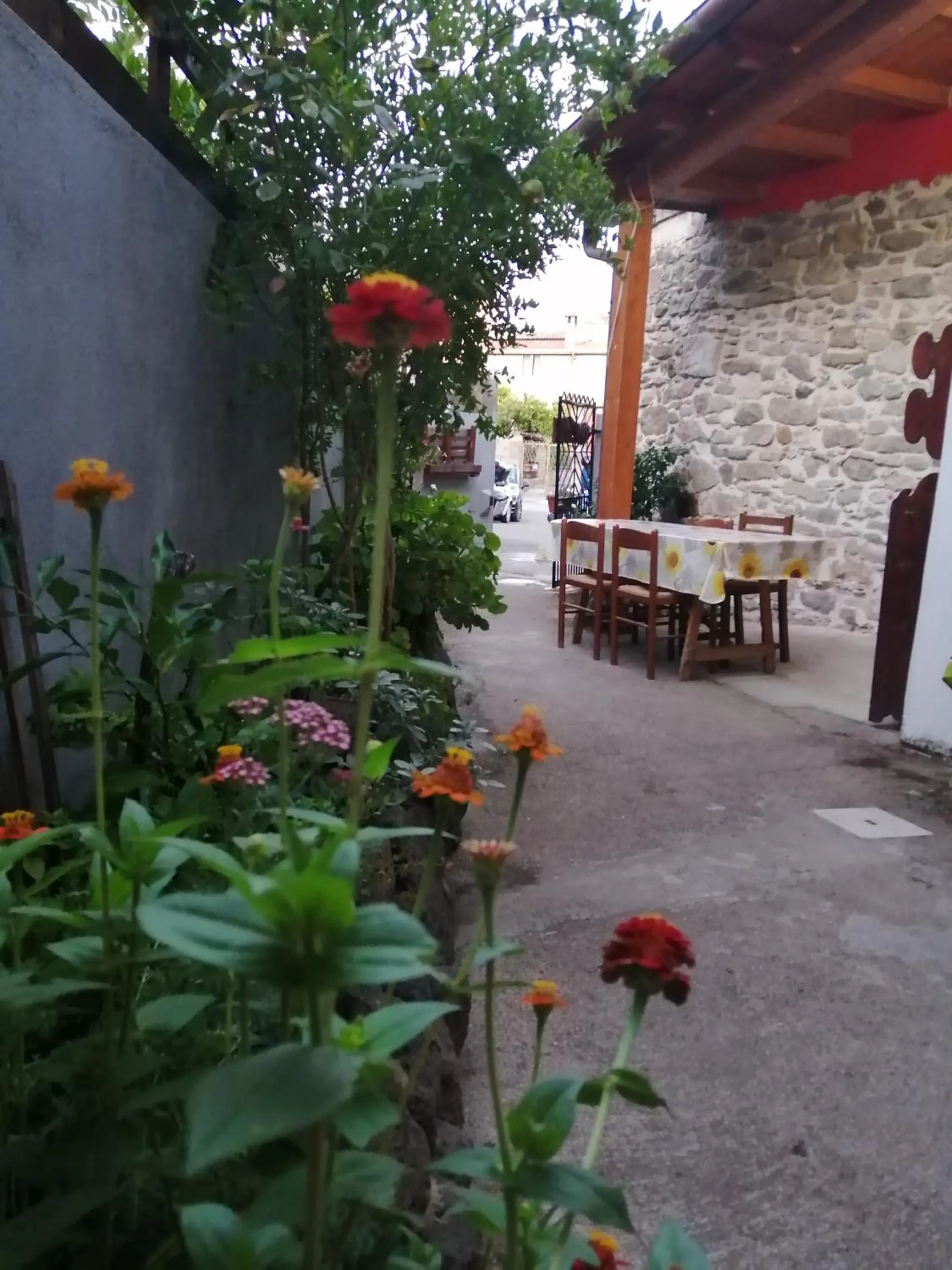 Garden in B&B Daddanca