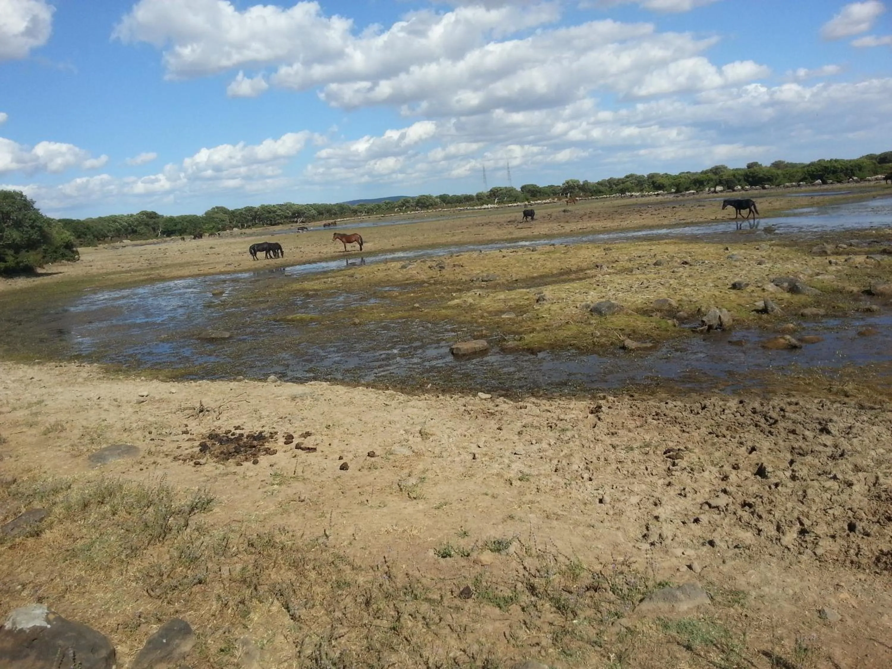 Hiking in B&B Daddanca