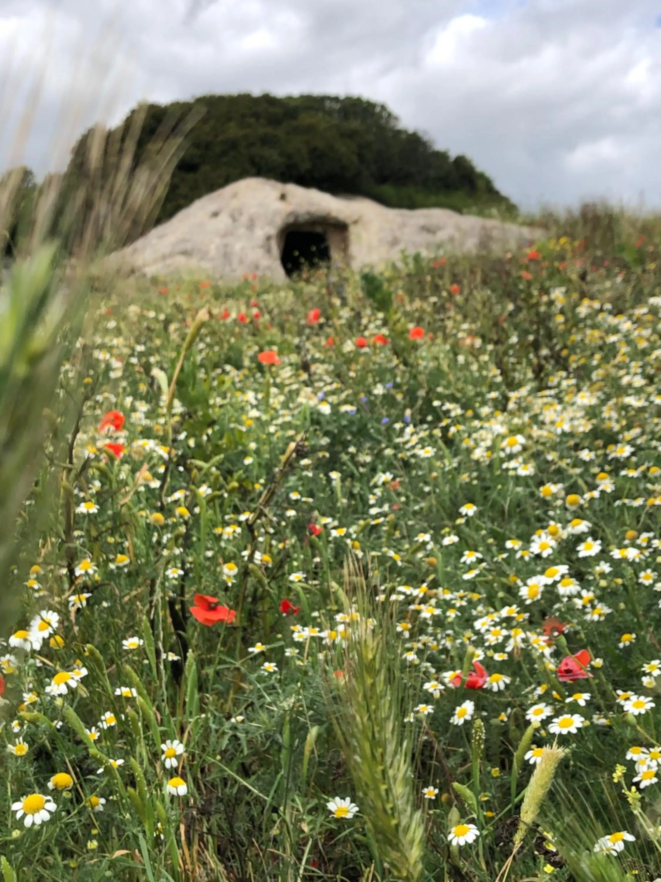 Natural landscape in B&B Daddanca